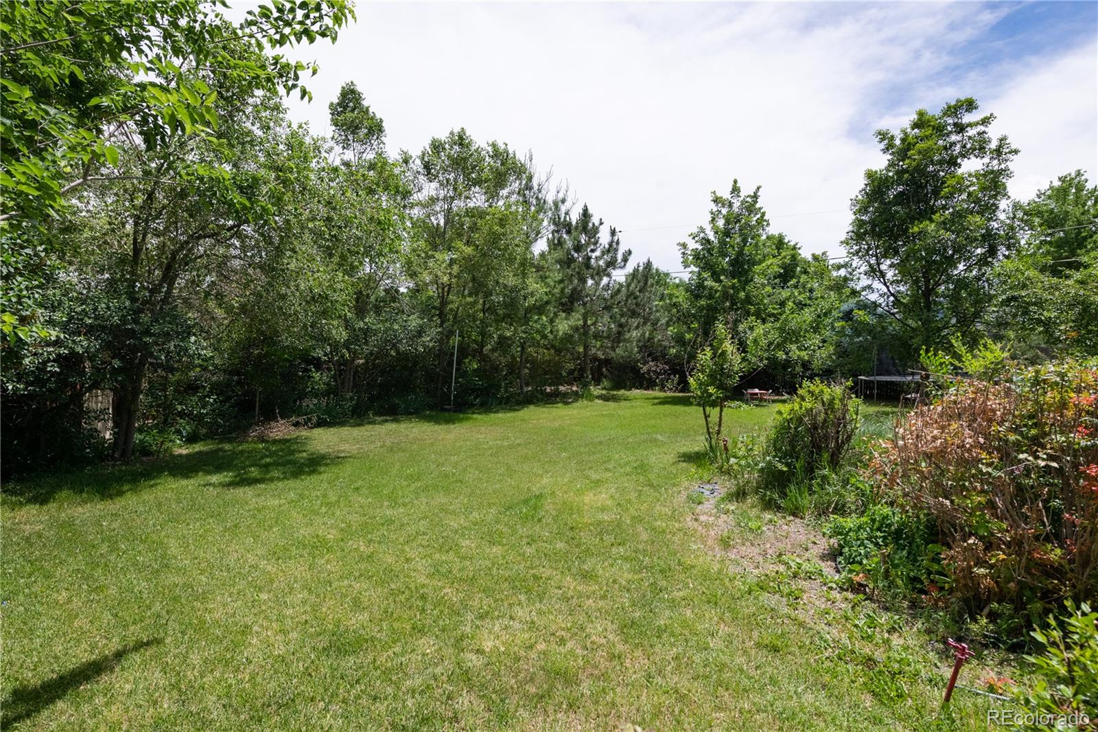 MLS Image #4 for 850  allison street,lakewood, Colorado