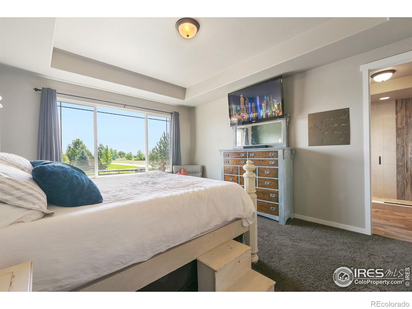 MLS Image #15 for 6040  yellowtail street,timnath, Colorado