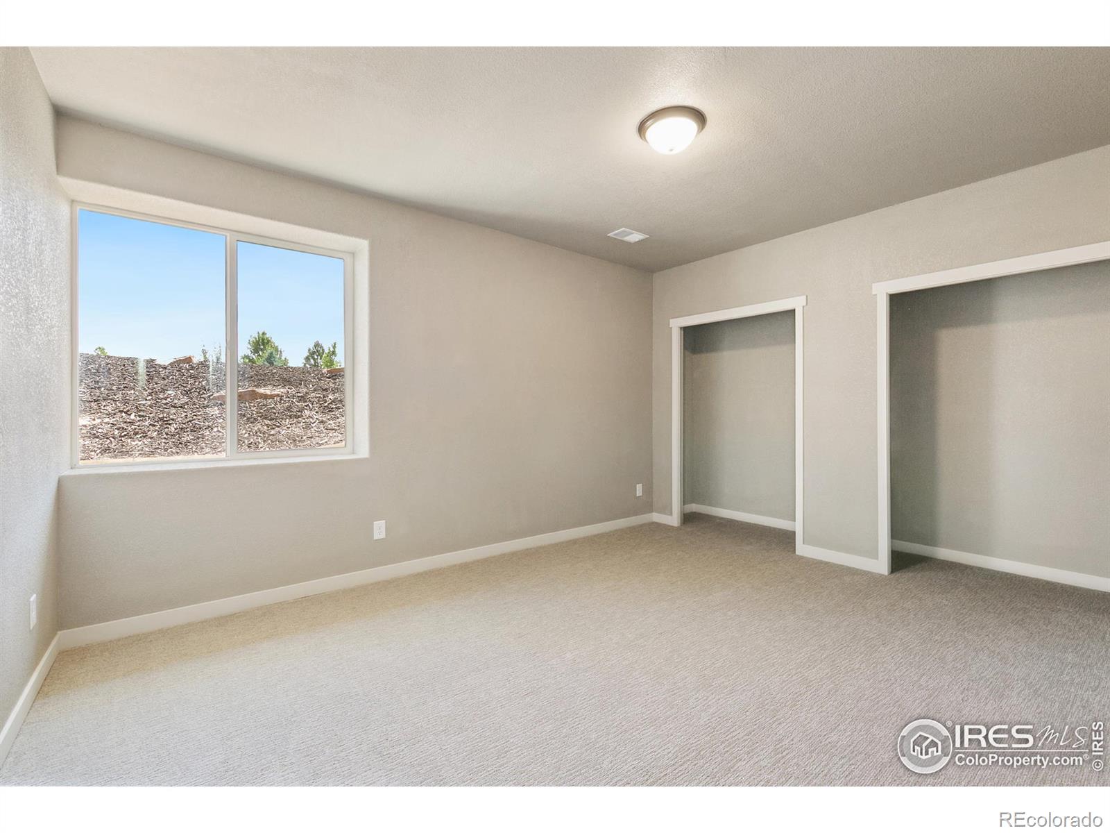 MLS Image #28 for 6040  yellowtail street,timnath, Colorado