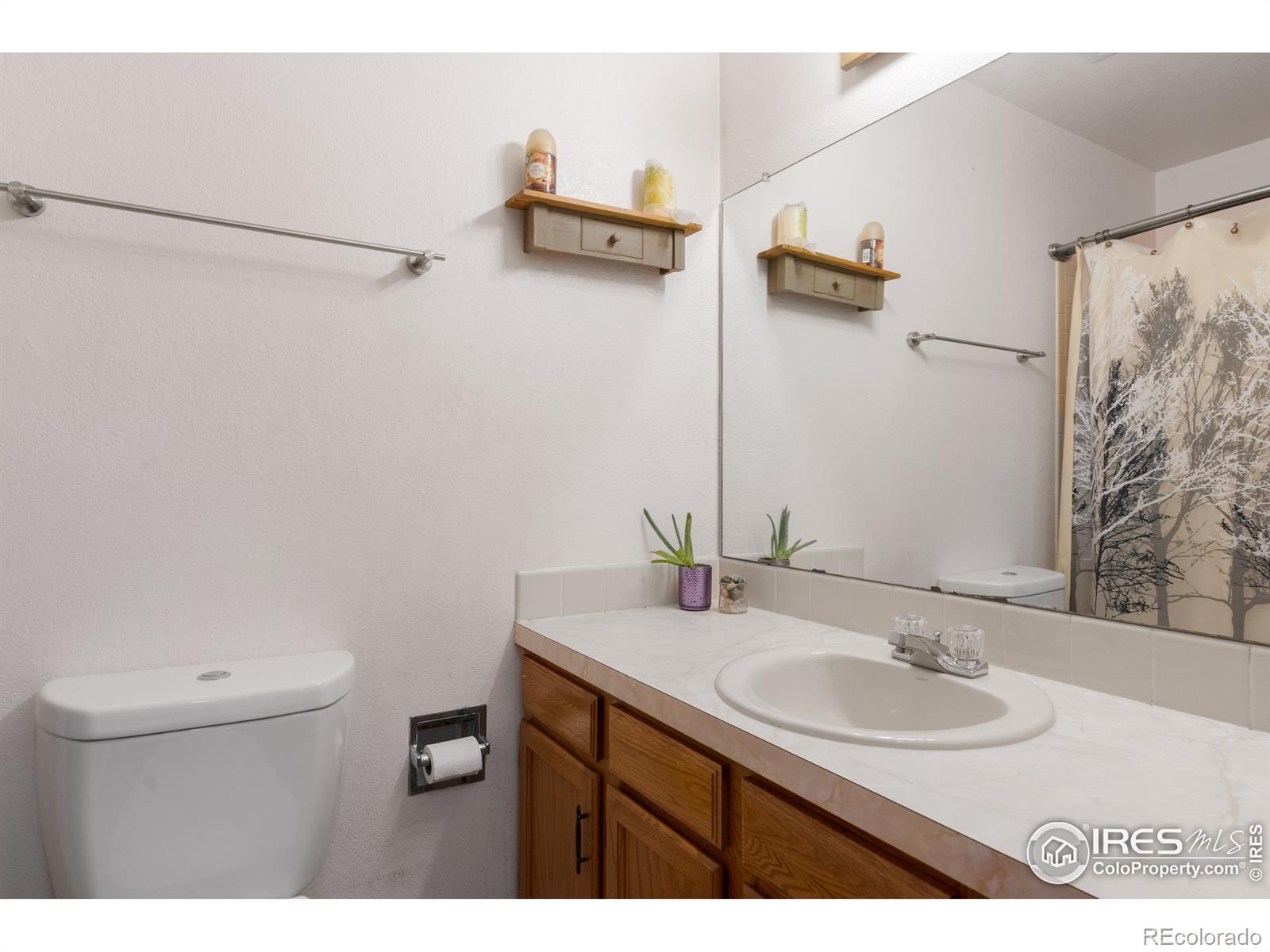 MLS Image #15 for 2629 e redbud drive,loveland, Colorado