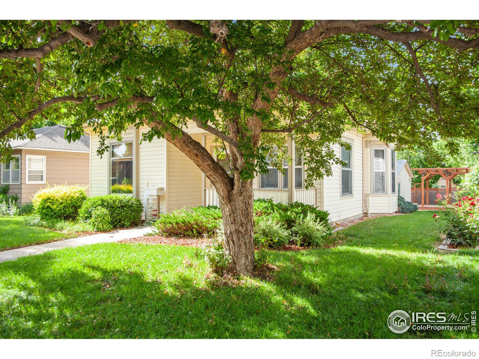 MLS Image #2 for 568 w 2nd street,loveland, Colorado