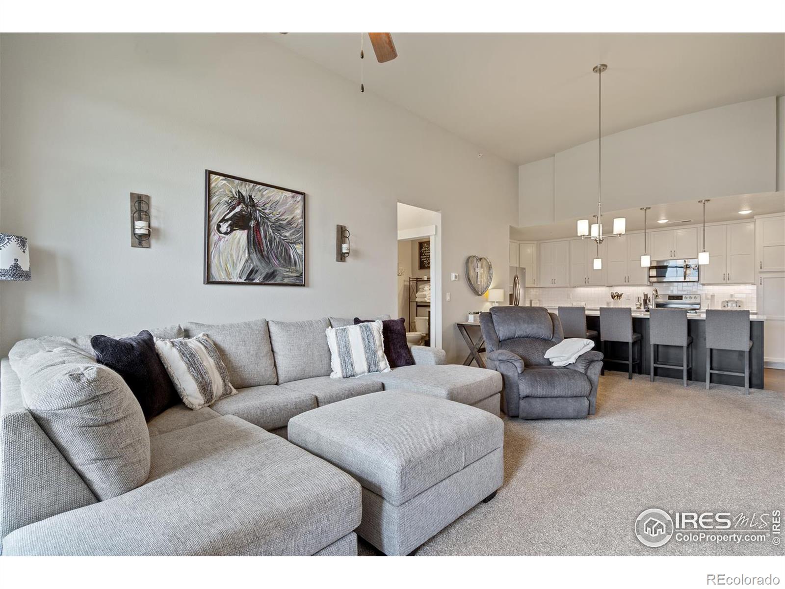 MLS Image #9 for 6672  crystal downs drive,windsor, Colorado