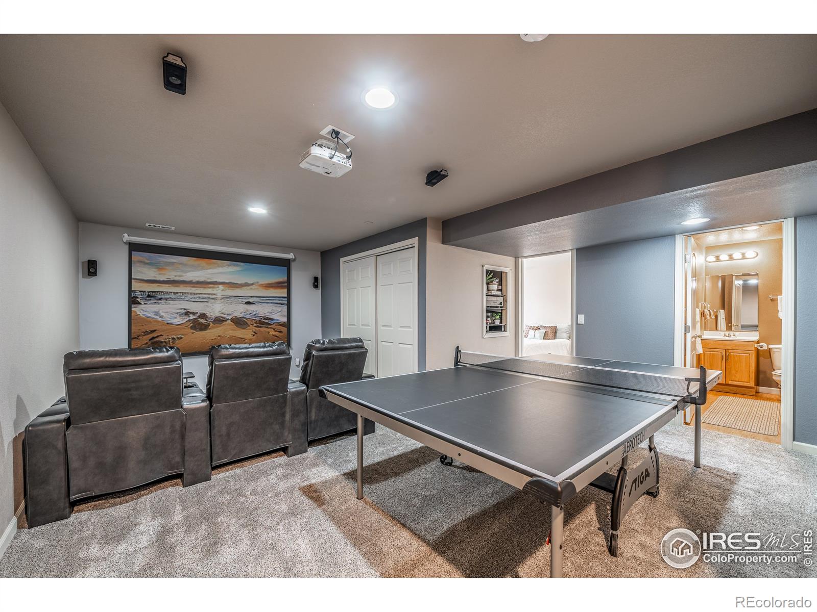 MLS Image #11 for 3780  downieville street,loveland, Colorado