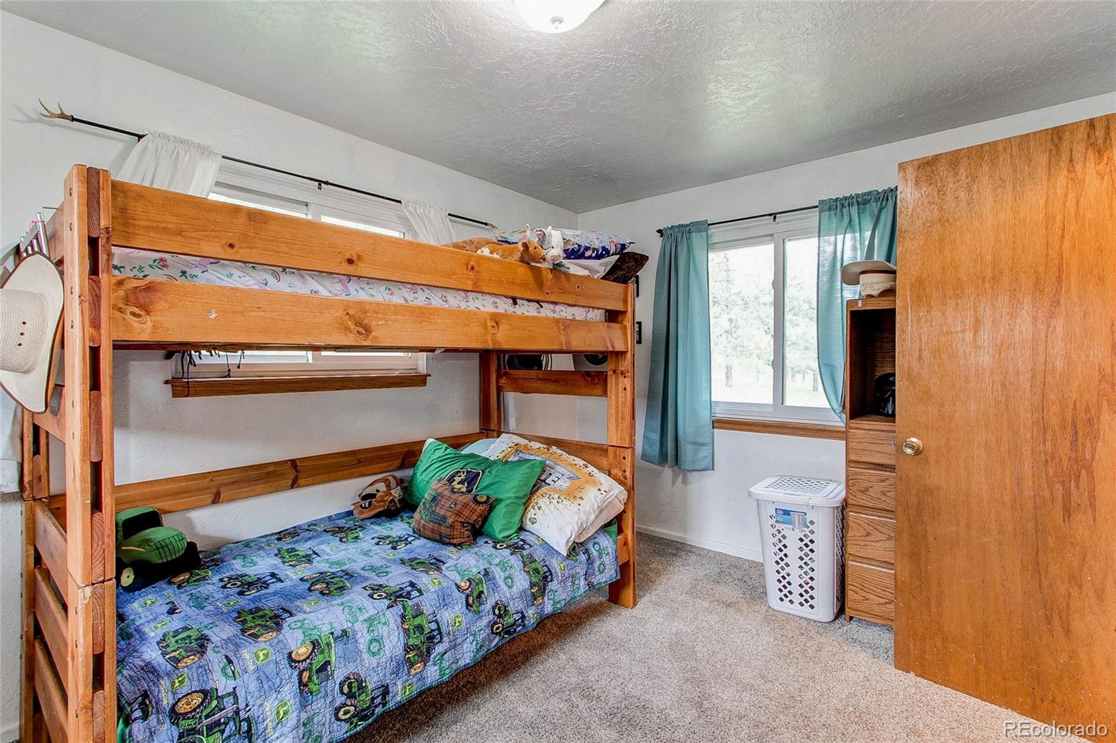 MLS Image #23 for 73  ranchettes road,bailey, Colorado