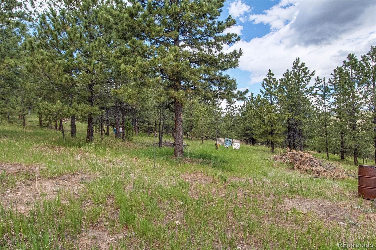 MLS Image #35 for 73  ranchettes road,bailey, Colorado