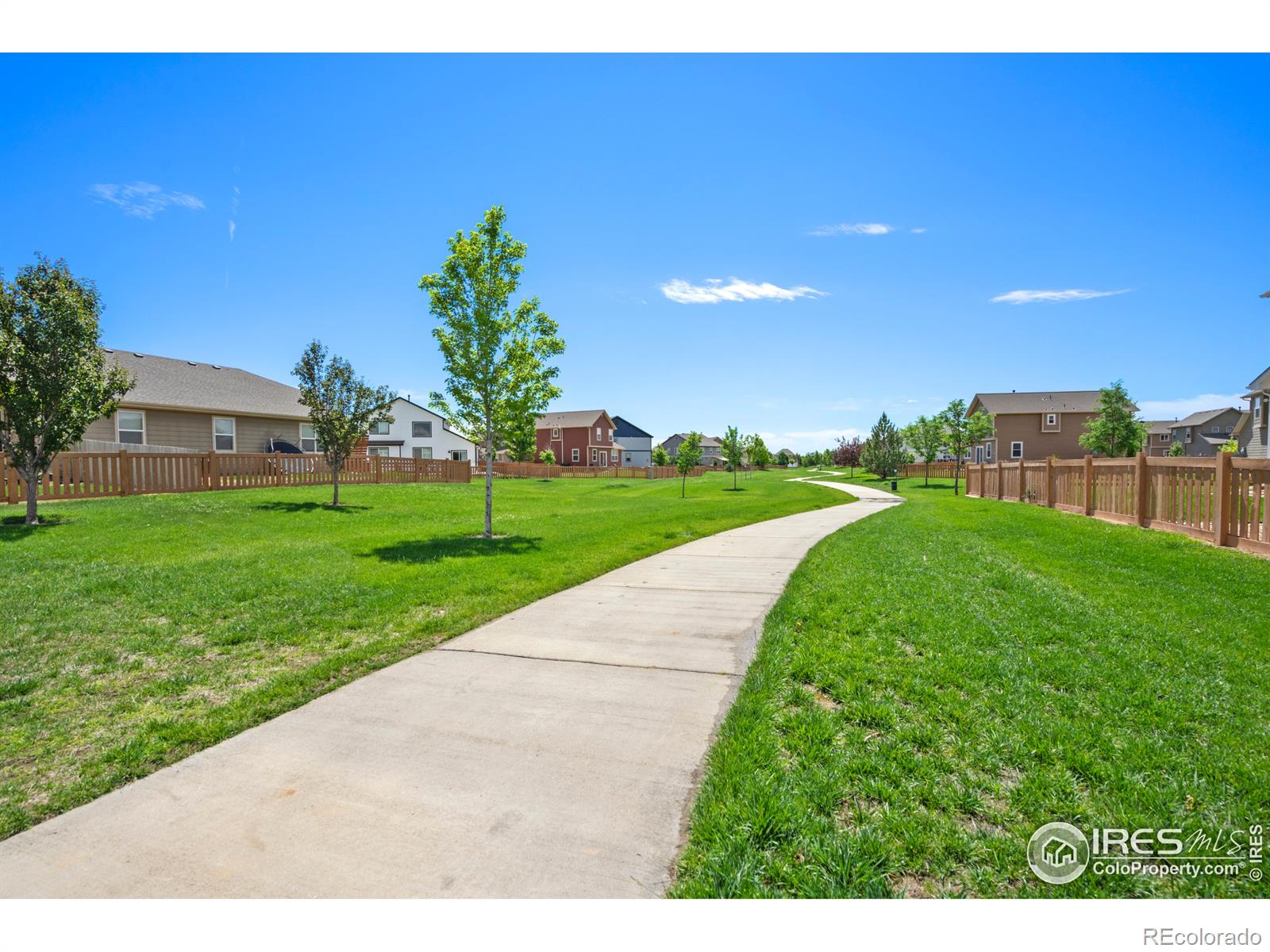 MLS Image #21 for 1524  harpendon court,windsor, Colorado