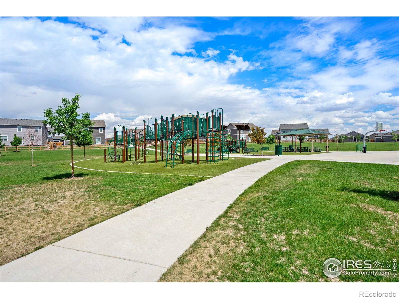 MLS Image #22 for 1524  harpendon court,windsor, Colorado