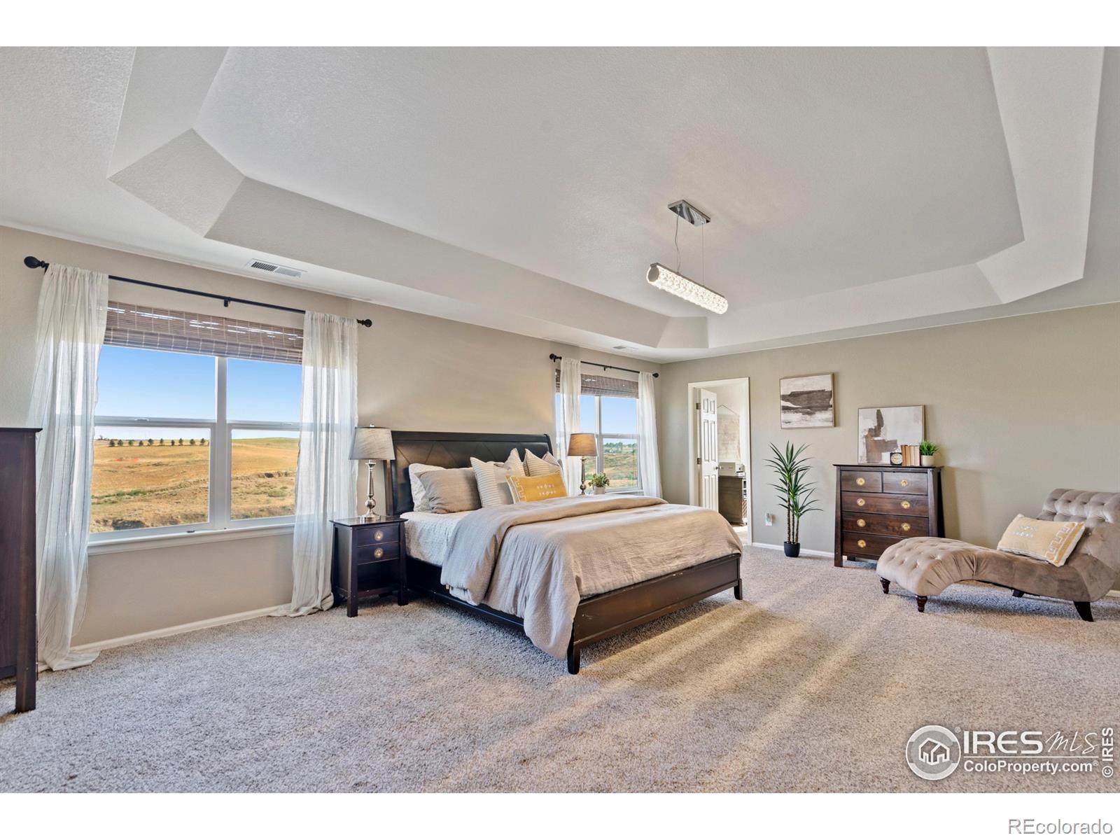 MLS Image #16 for 2111  longfin court,windsor, Colorado