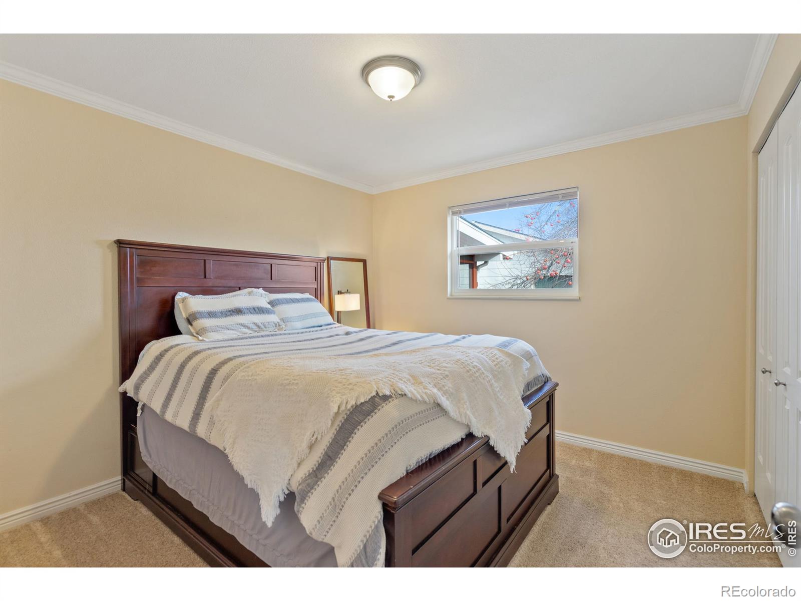 MLS Image #12 for 3306 w 24th street,greeley, Colorado