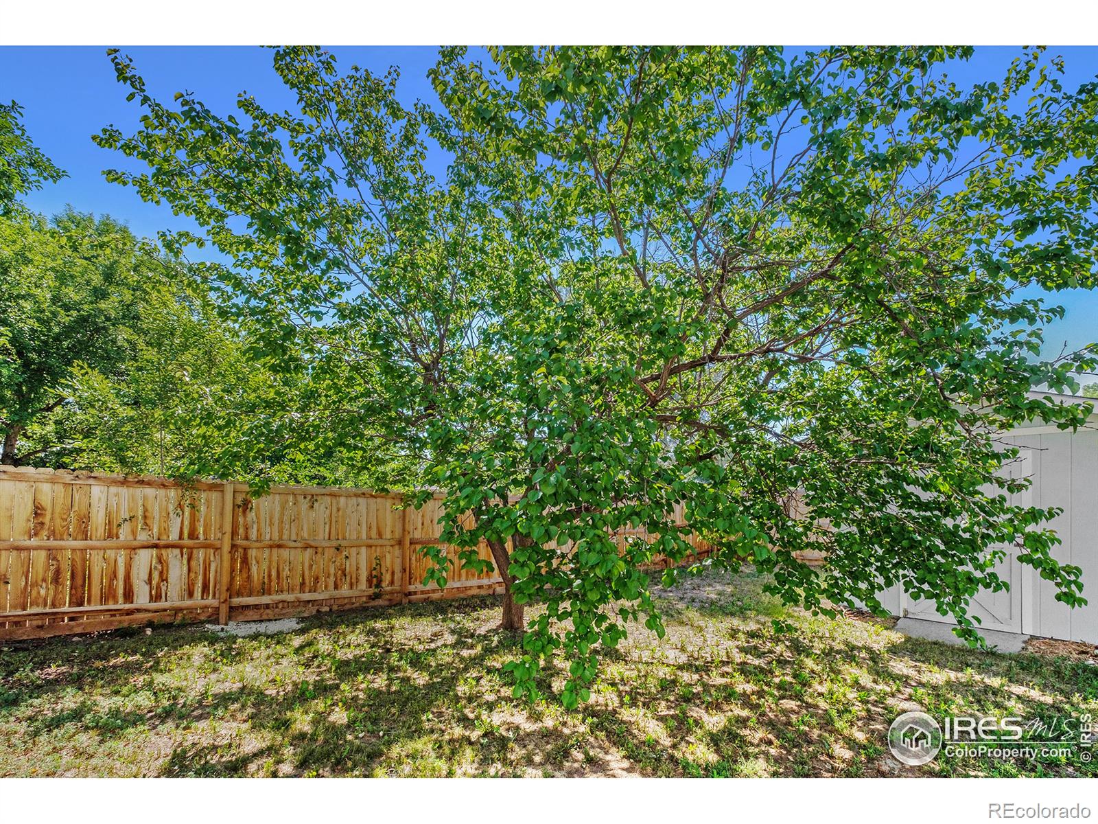 MLS Image #30 for 3306 w 24th street,greeley, Colorado