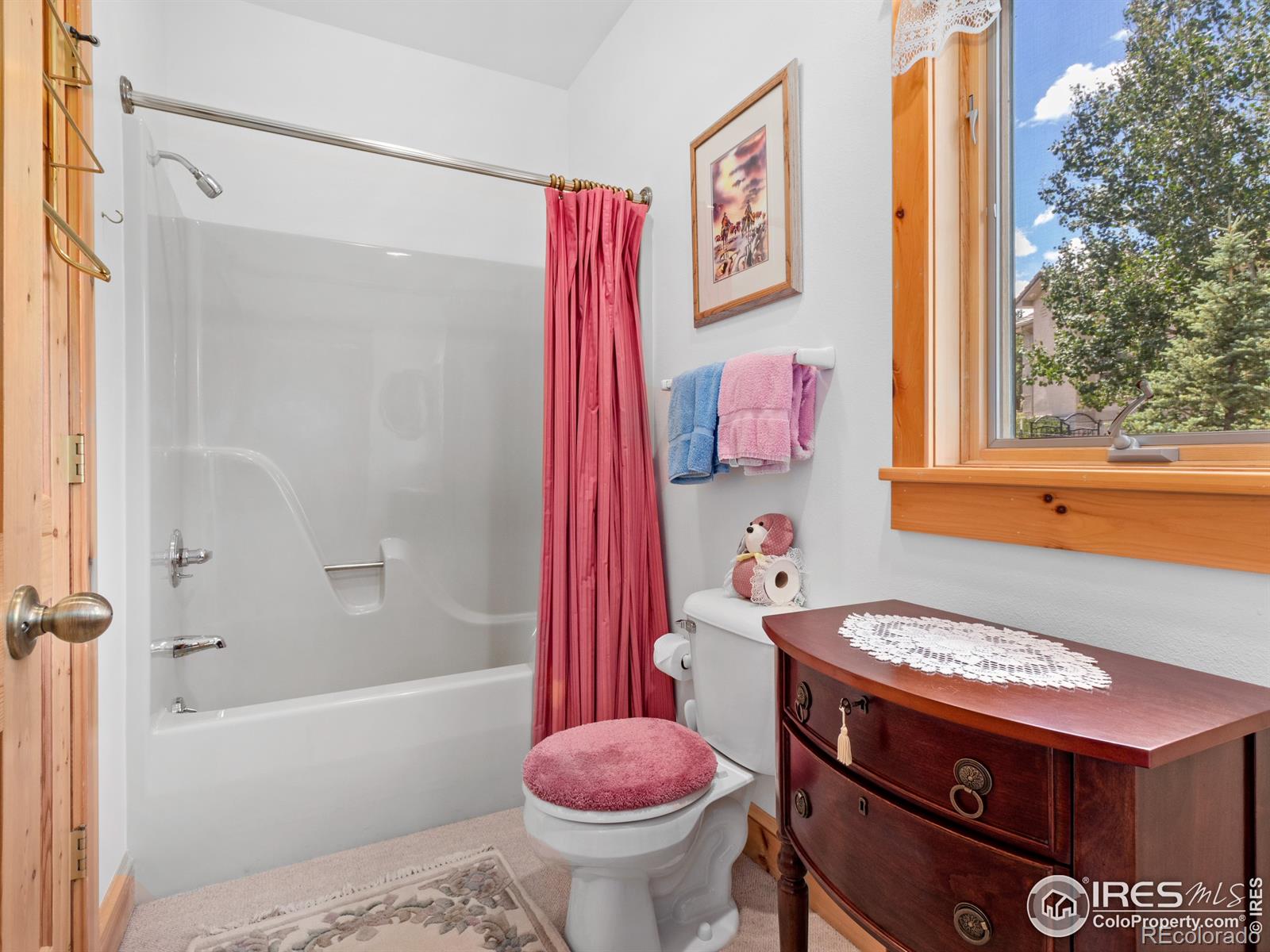 MLS Image #10 for 101  ute lane,estes park, Colorado