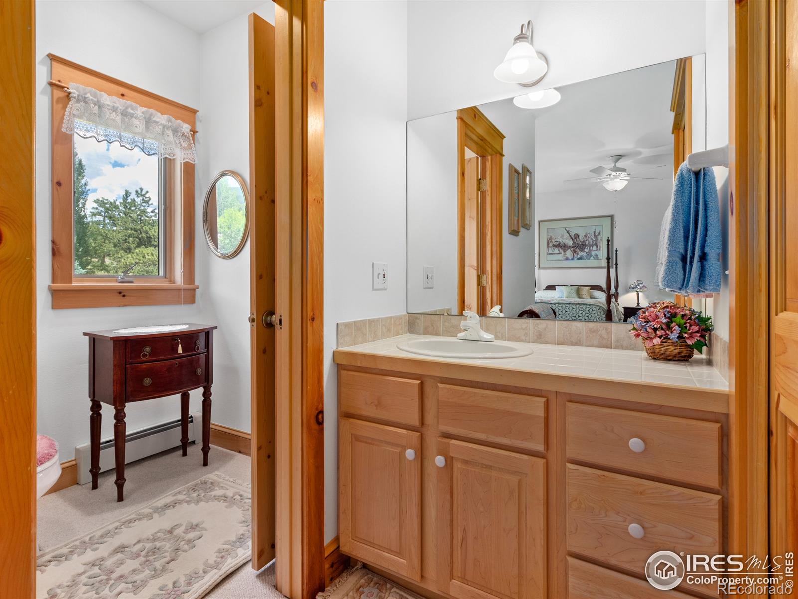 MLS Image #13 for 101  ute lane,estes park, Colorado