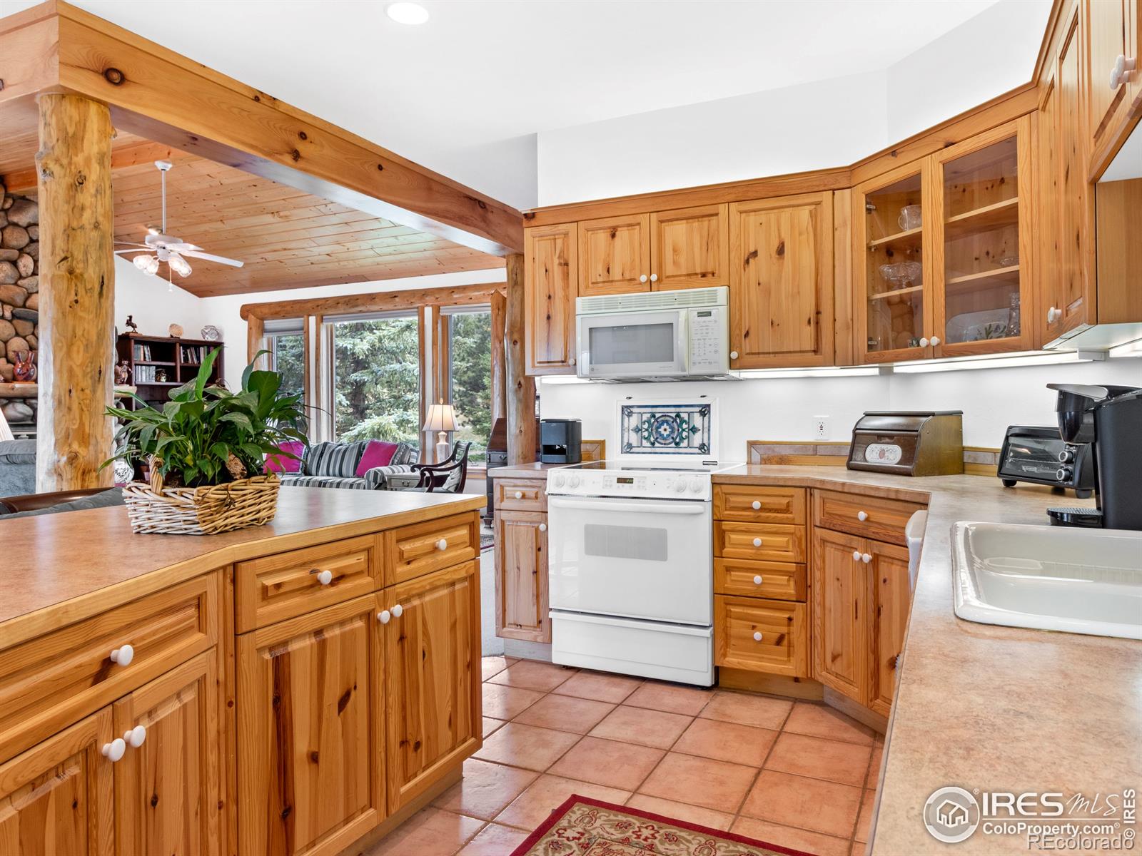 MLS Image #17 for 101  ute lane,estes park, Colorado