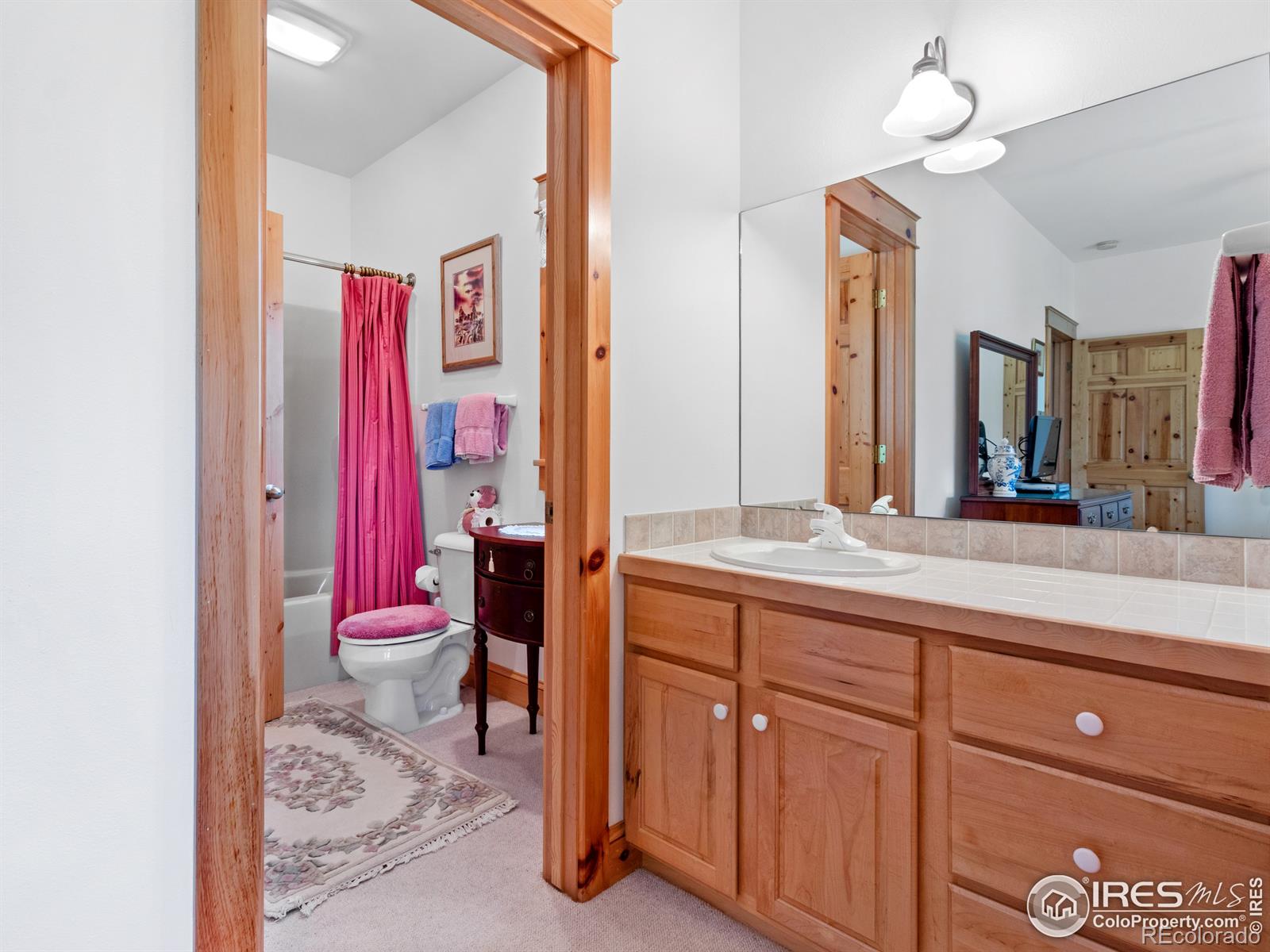 MLS Image #21 for 101  ute lane,estes park, Colorado