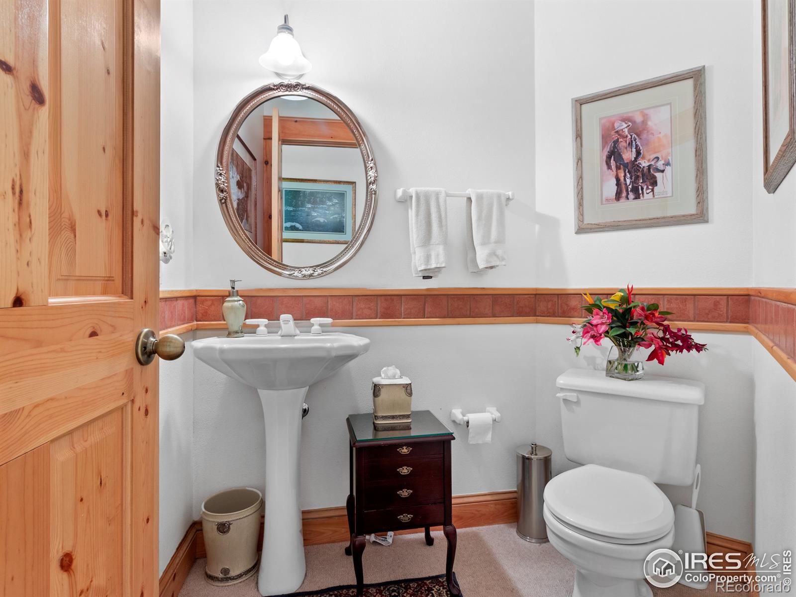 MLS Image #23 for 101  ute lane,estes park, Colorado