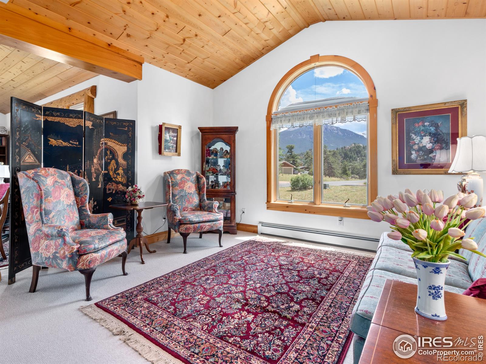 MLS Image #32 for 101  ute lane,estes park, Colorado