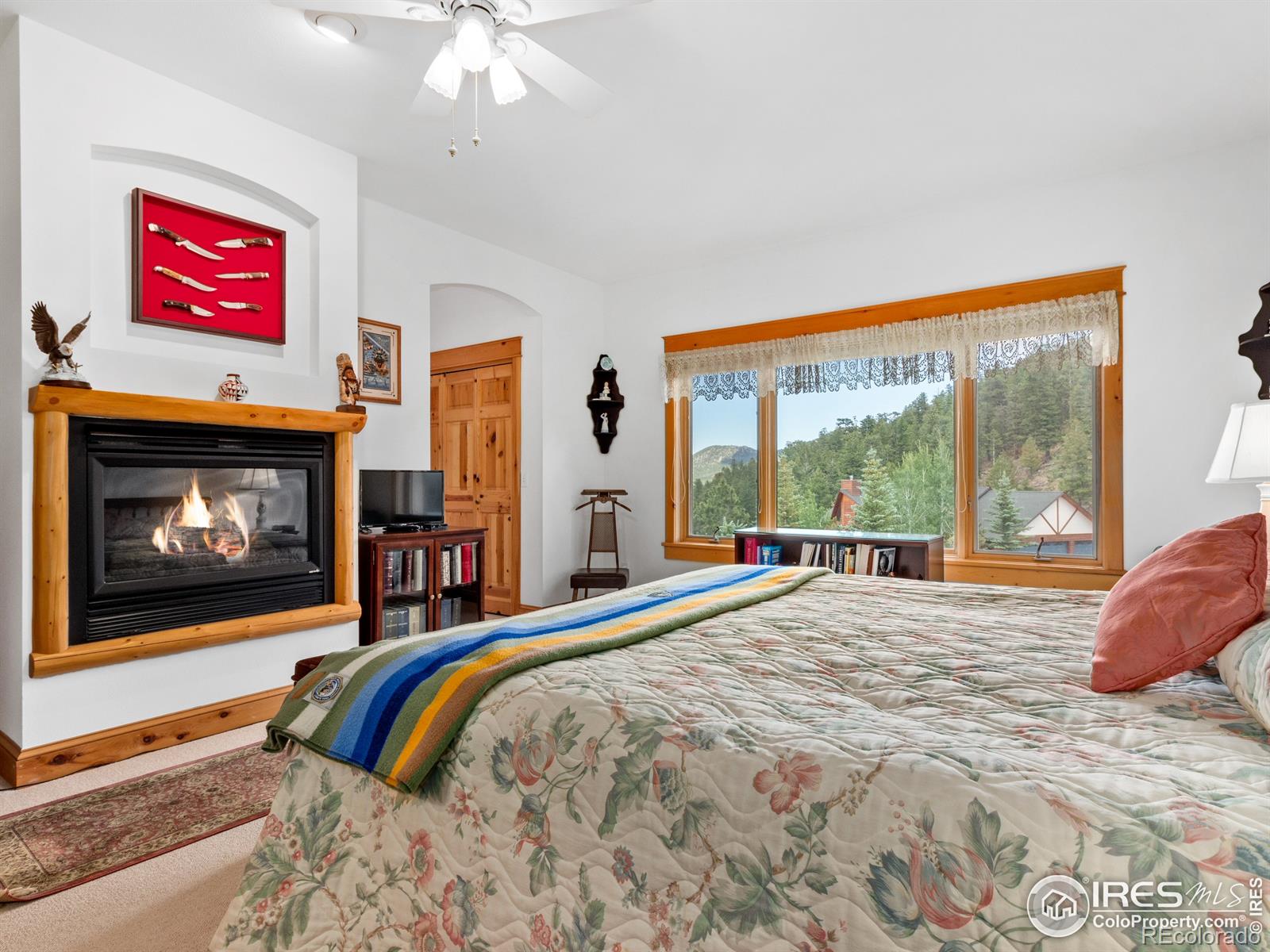 MLS Image #4 for 101  ute lane,estes park, Colorado