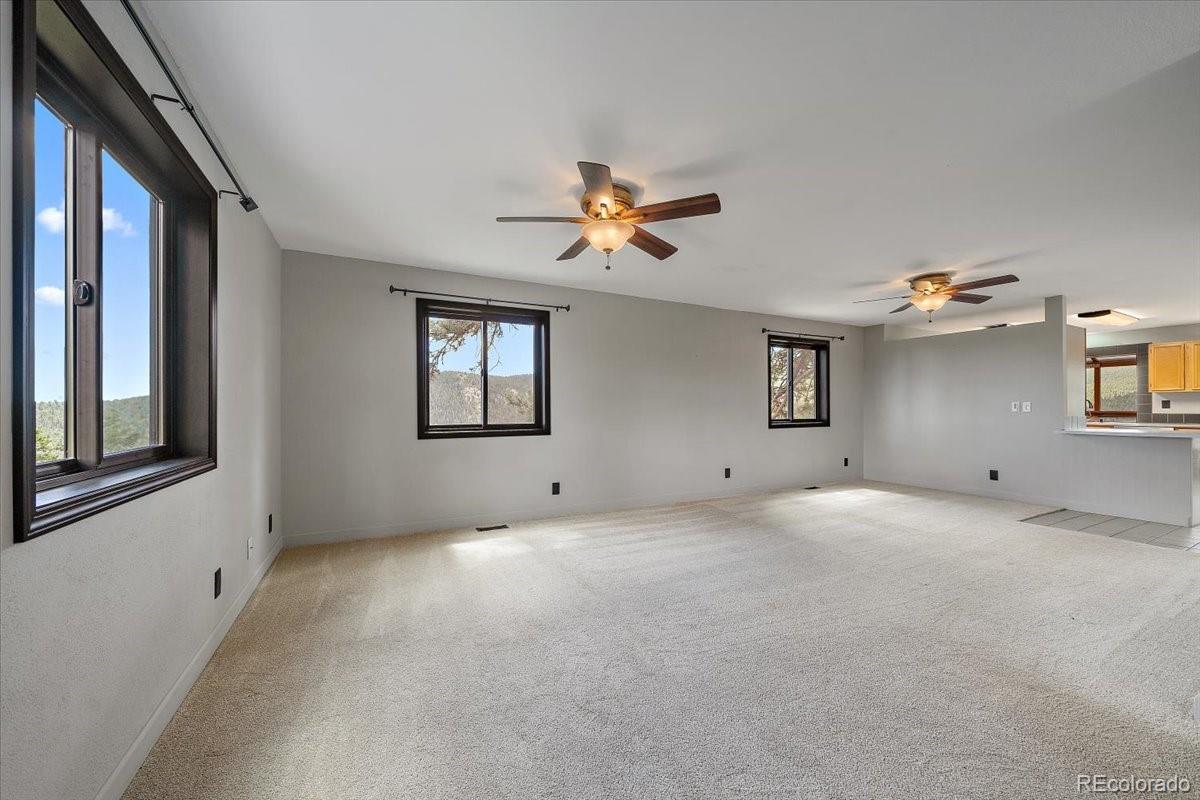 MLS Image #10 for 32482  lodgepole drive,evergreen, Colorado