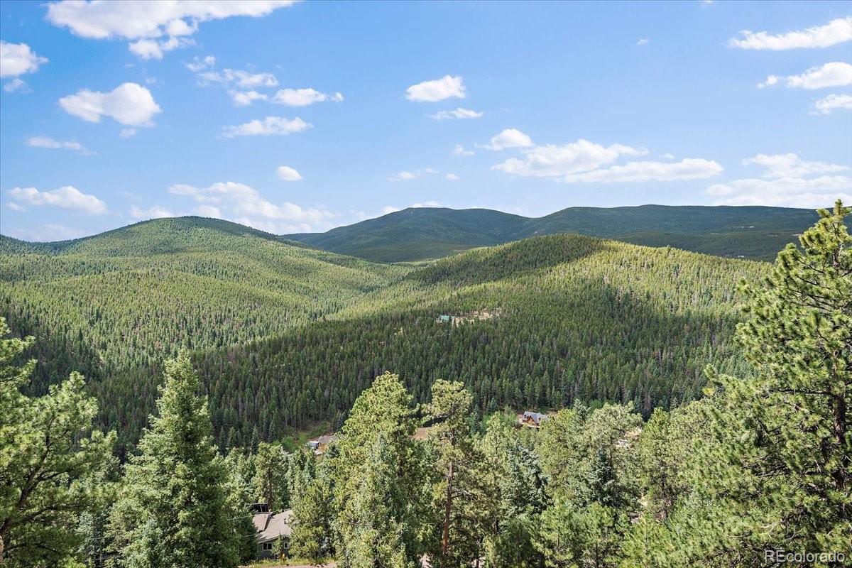 MLS Image #30 for 32482  lodgepole drive,evergreen, Colorado