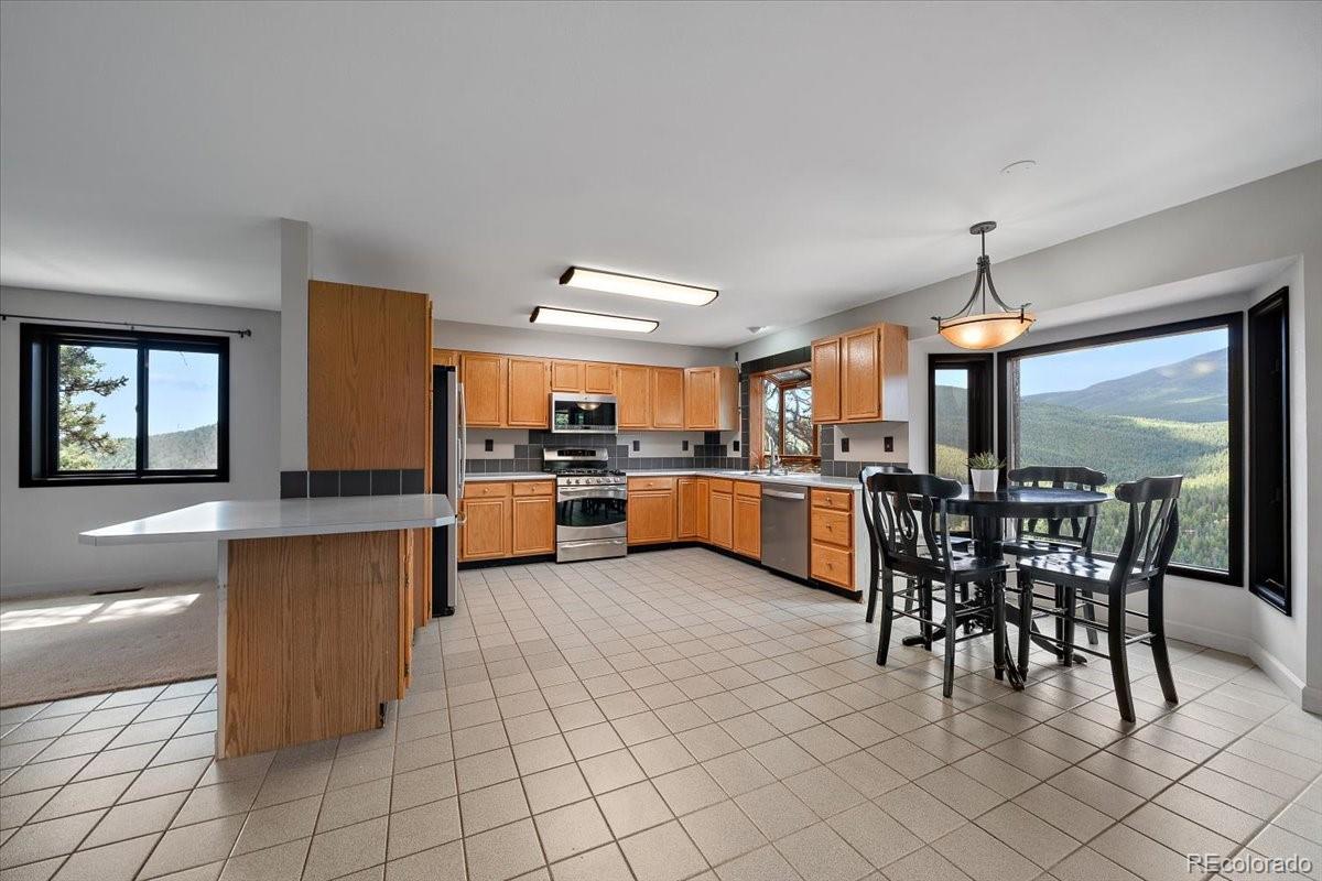 MLS Image #6 for 32482  lodgepole drive,evergreen, Colorado
