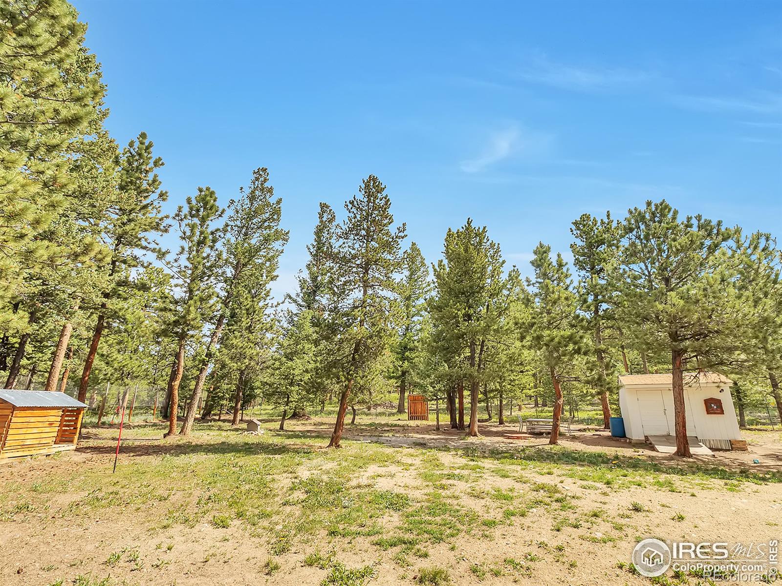 MLS Image #27 for 601  bramer road,ward, Colorado