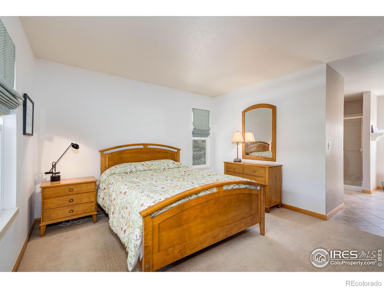 MLS Image #15 for 4056  harrington court,fort collins, Colorado