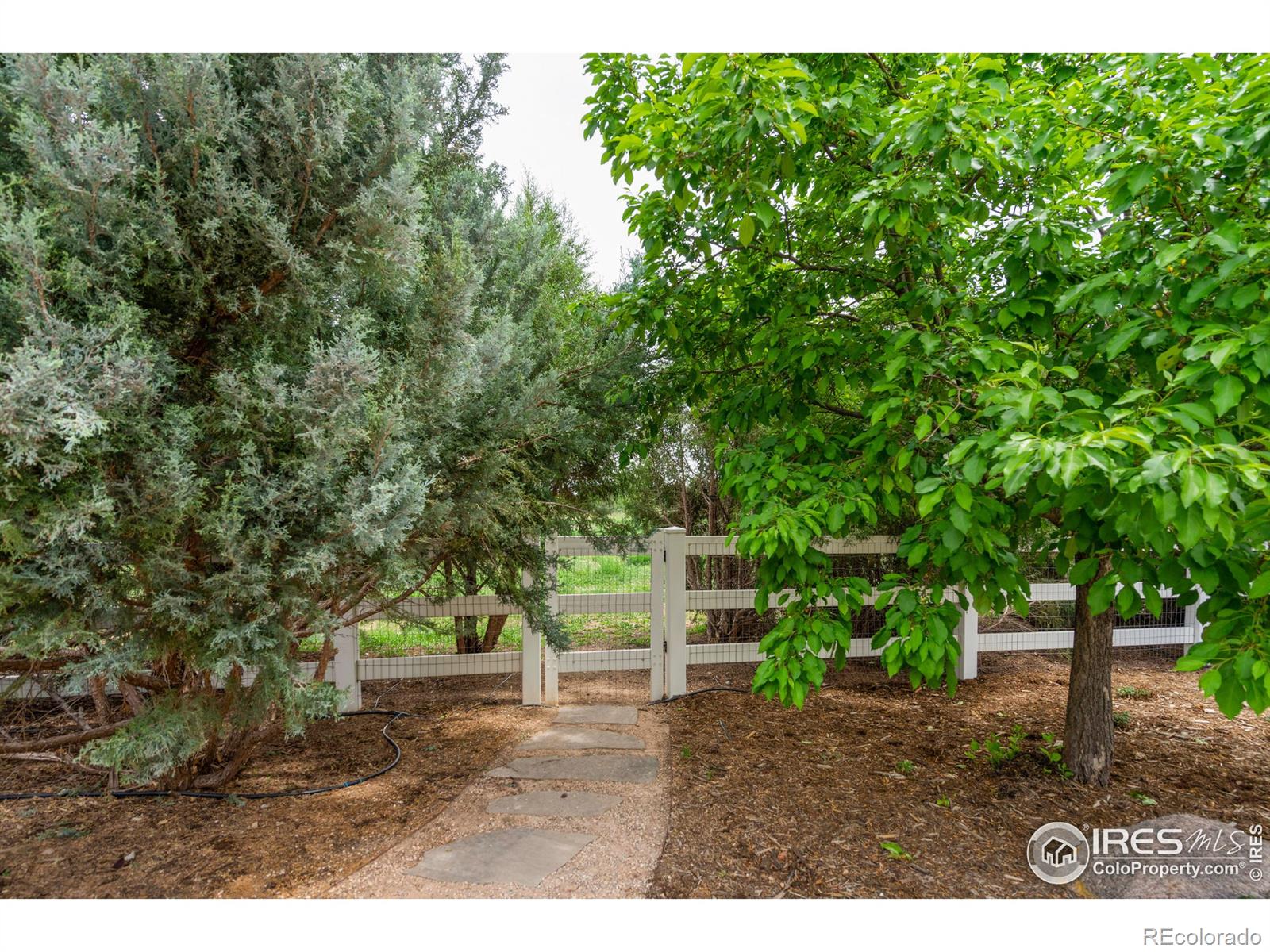 MLS Image #39 for 4056  harrington court,fort collins, Colorado