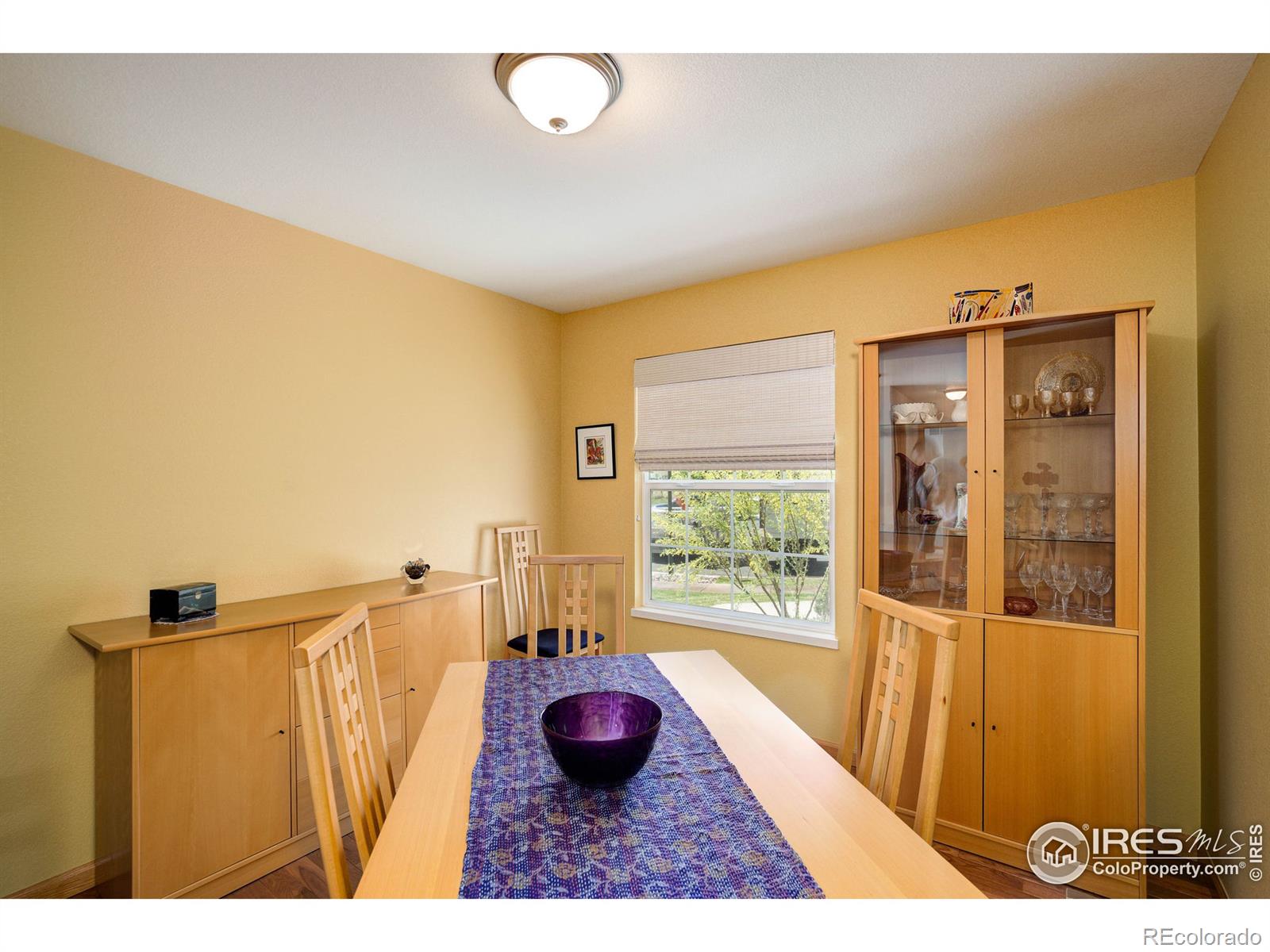 MLS Image #7 for 4056  harrington court,fort collins, Colorado