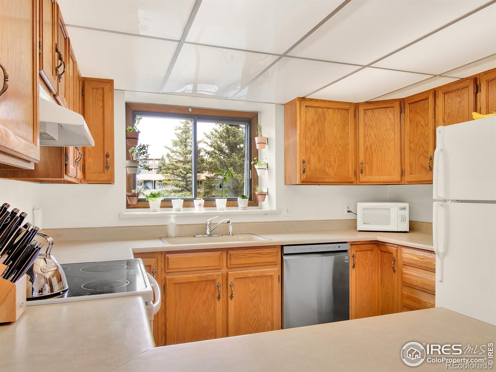 MLS Image #13 for 508  grand estates drive,estes park, Colorado