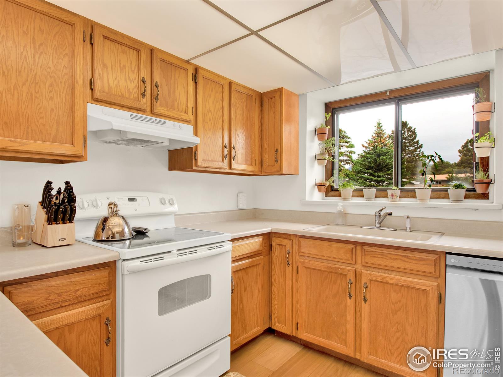 MLS Image #14 for 508  grand estates drive,estes park, Colorado