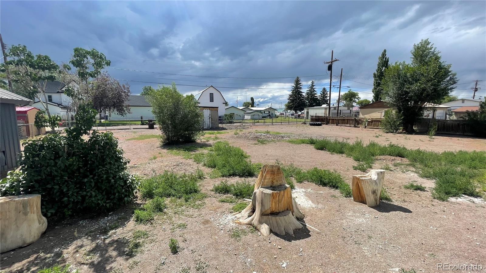 MLS Image #5 for 769  worth street,center, Colorado
