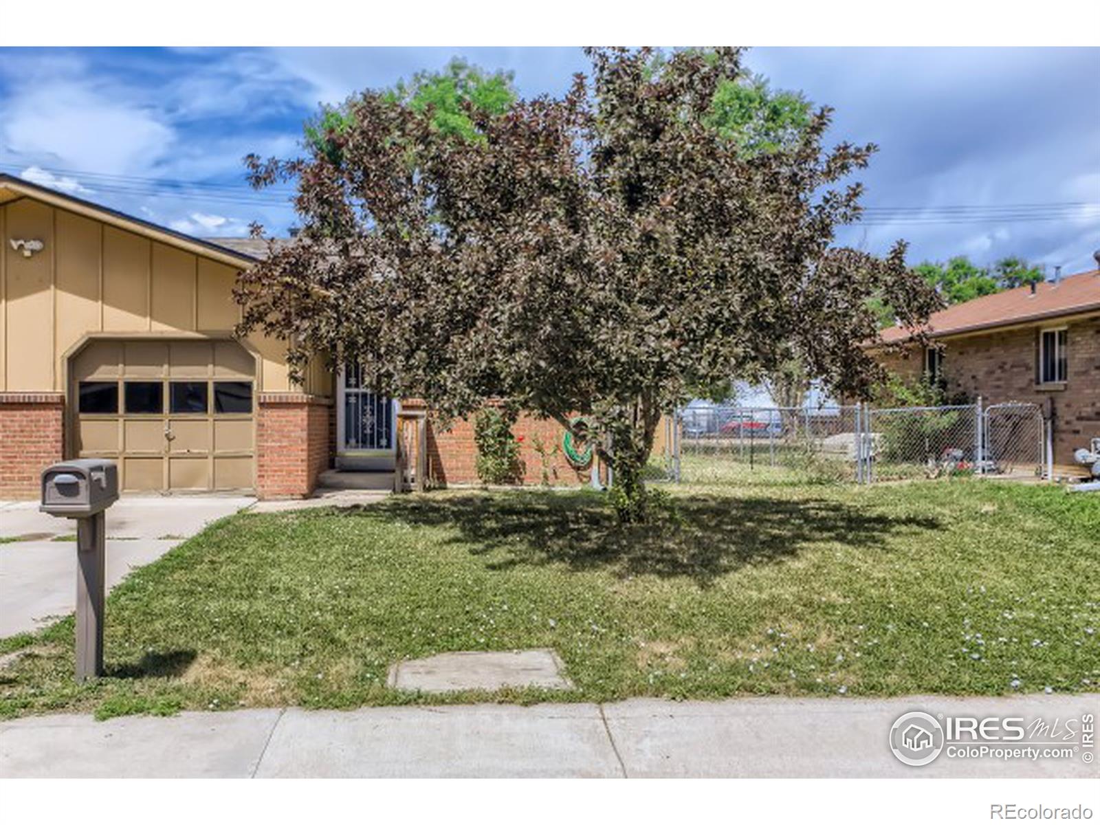 MLS Image #18 for 1317  martin street,longmont, Colorado