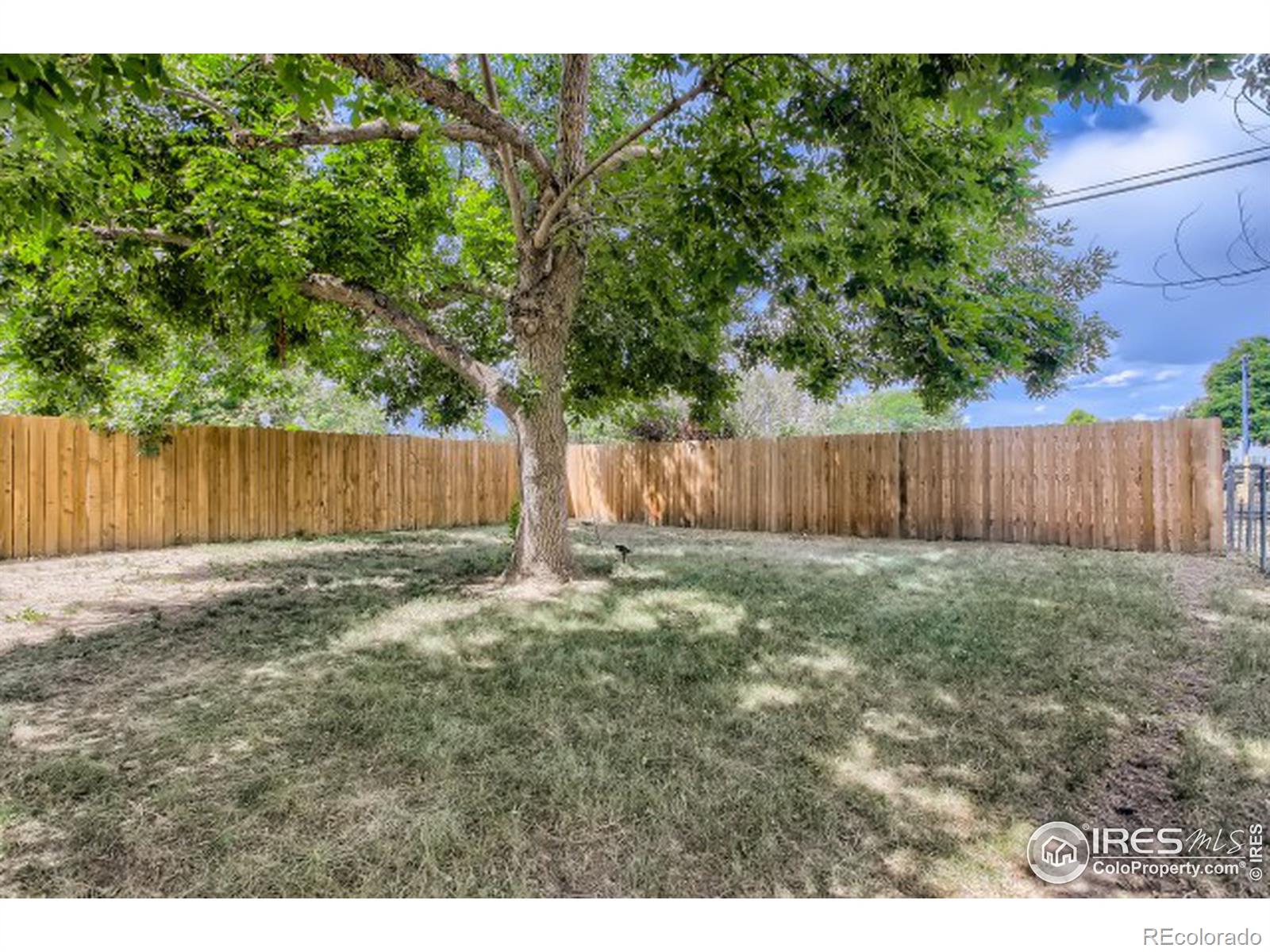 MLS Image #23 for 1317  martin street,longmont, Colorado