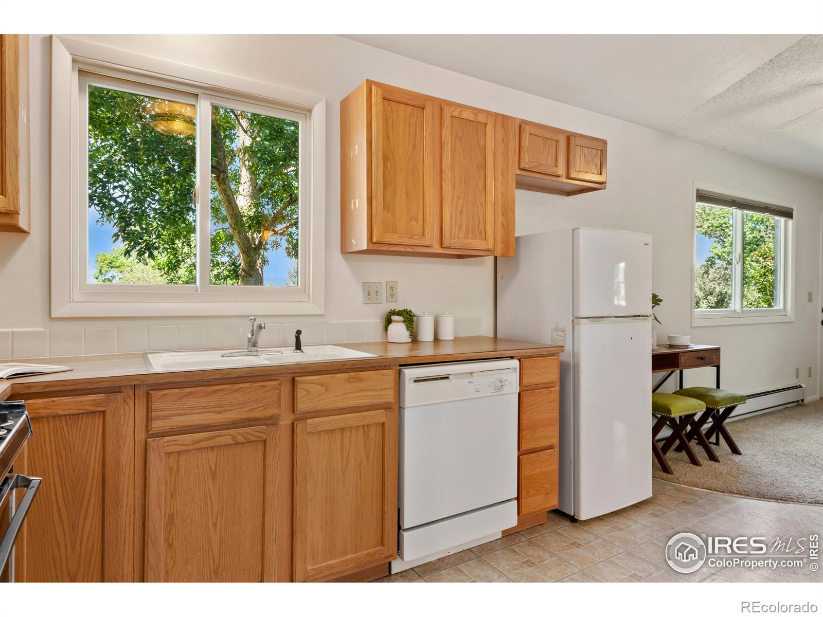 MLS Image #18 for 1209  martin court,loveland, Colorado