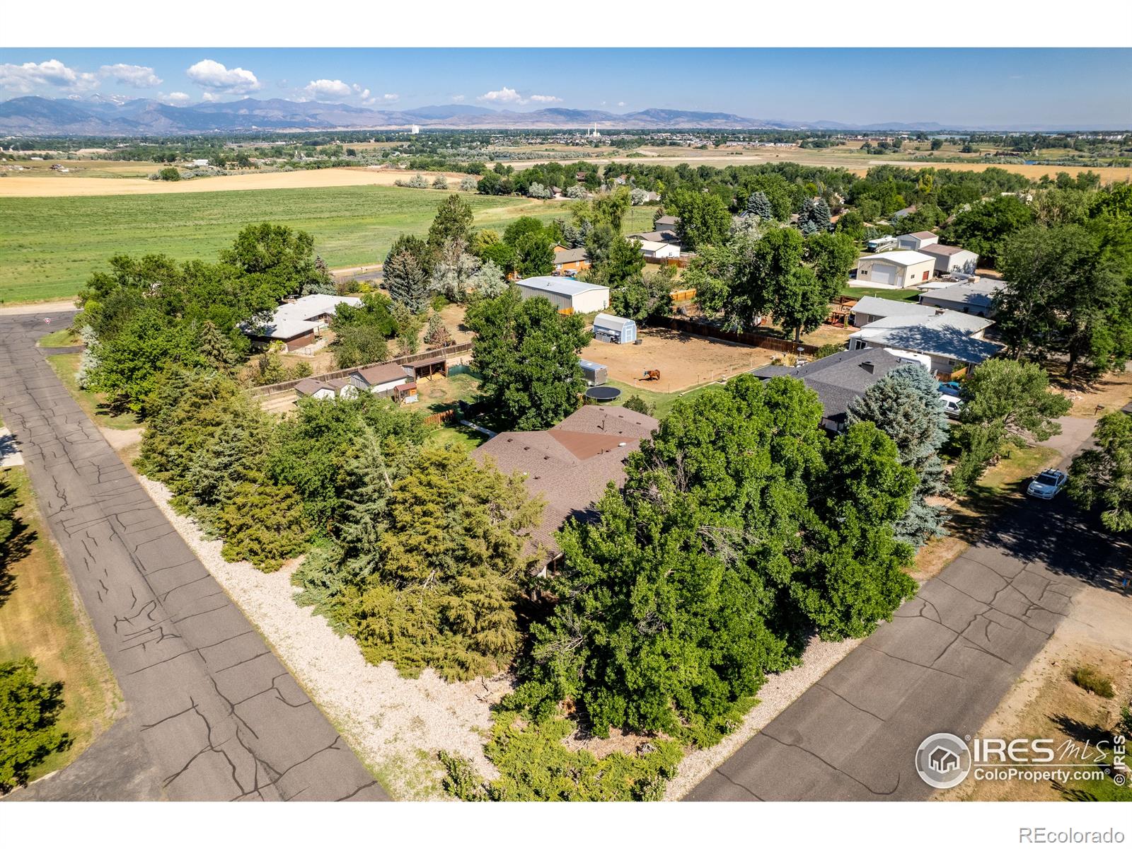 MLS Image #33 for 1209  martin court,loveland, Colorado