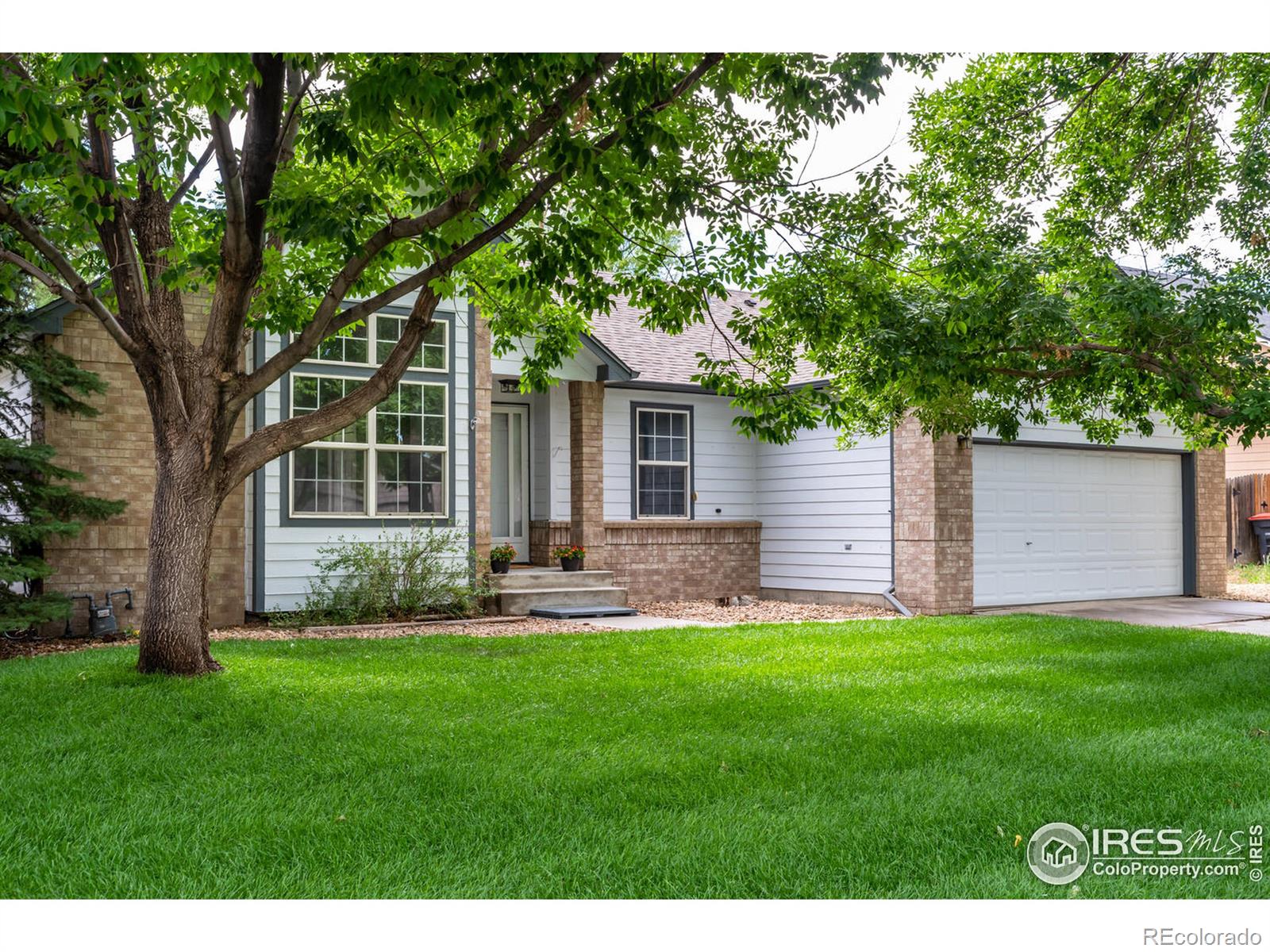 Report Image for 300  Linden Street,Frederick, Colorado