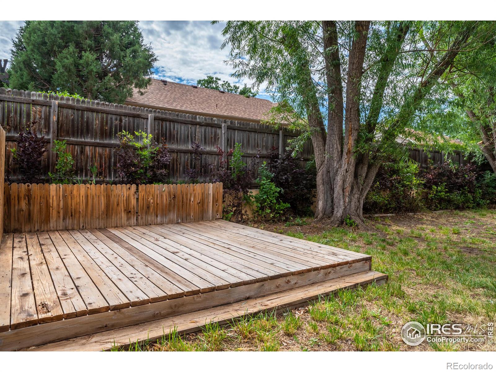 MLS Image #27 for 300  linden street,frederick, Colorado