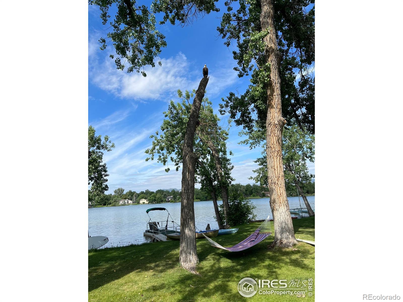 Report Image for 1028  Sailors Reef ,Fort Collins, Colorado