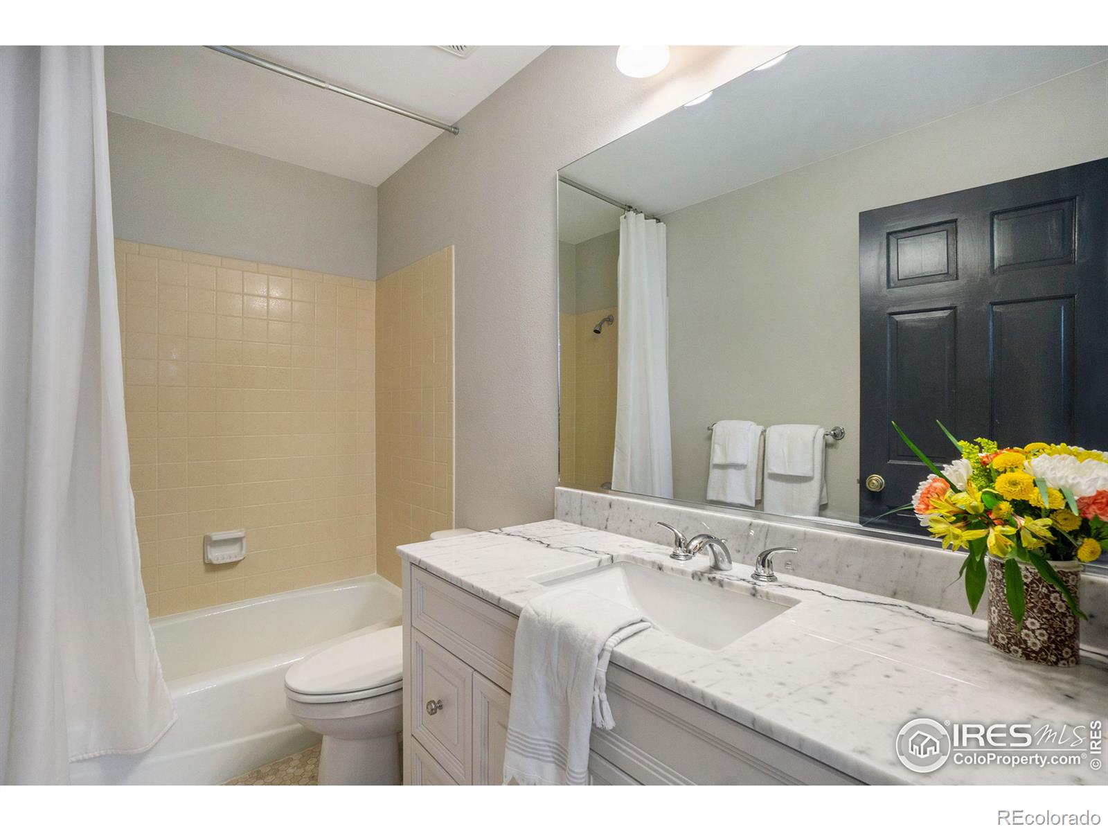 MLS Image #19 for 1028  sailors reef ,fort collins, Colorado