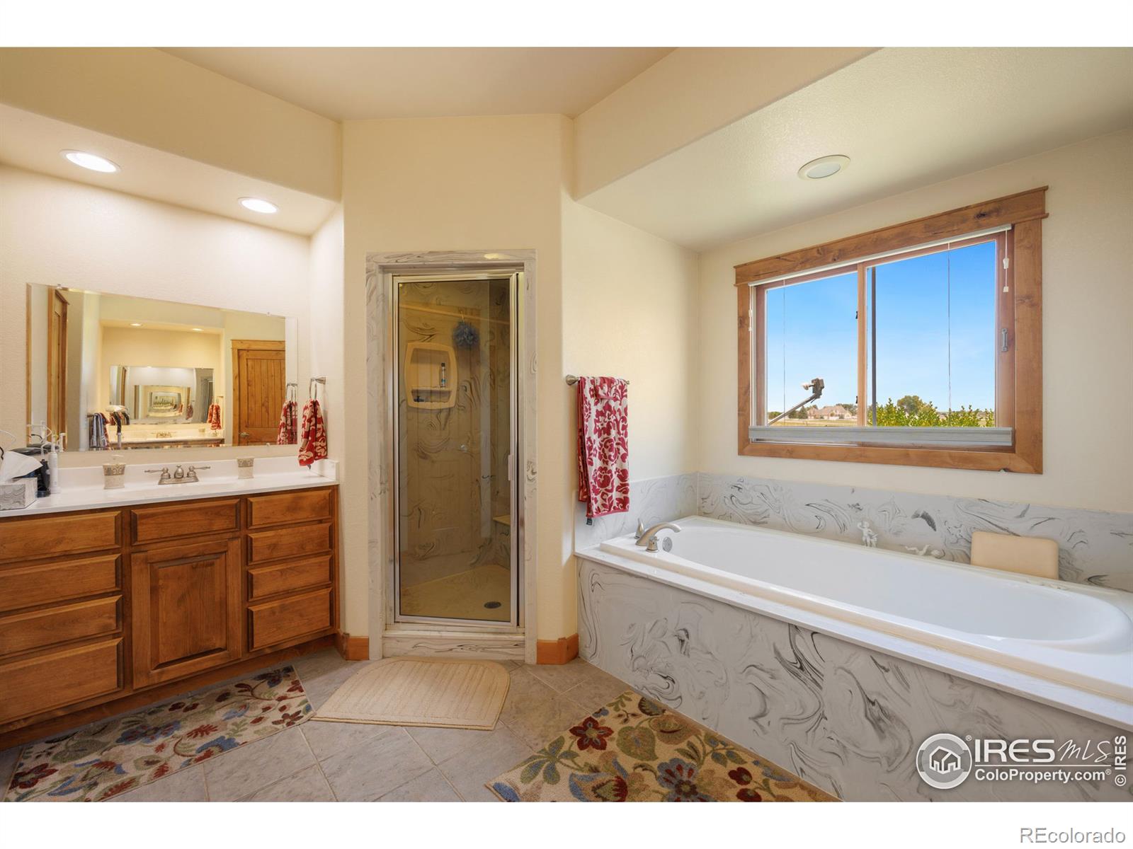 MLS Image #18 for 4586  levi court,loveland, Colorado