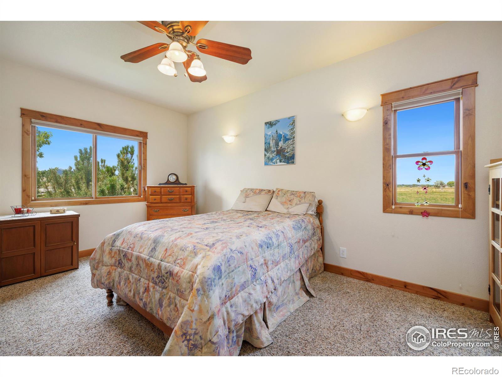 MLS Image #19 for 4586  levi court,loveland, Colorado