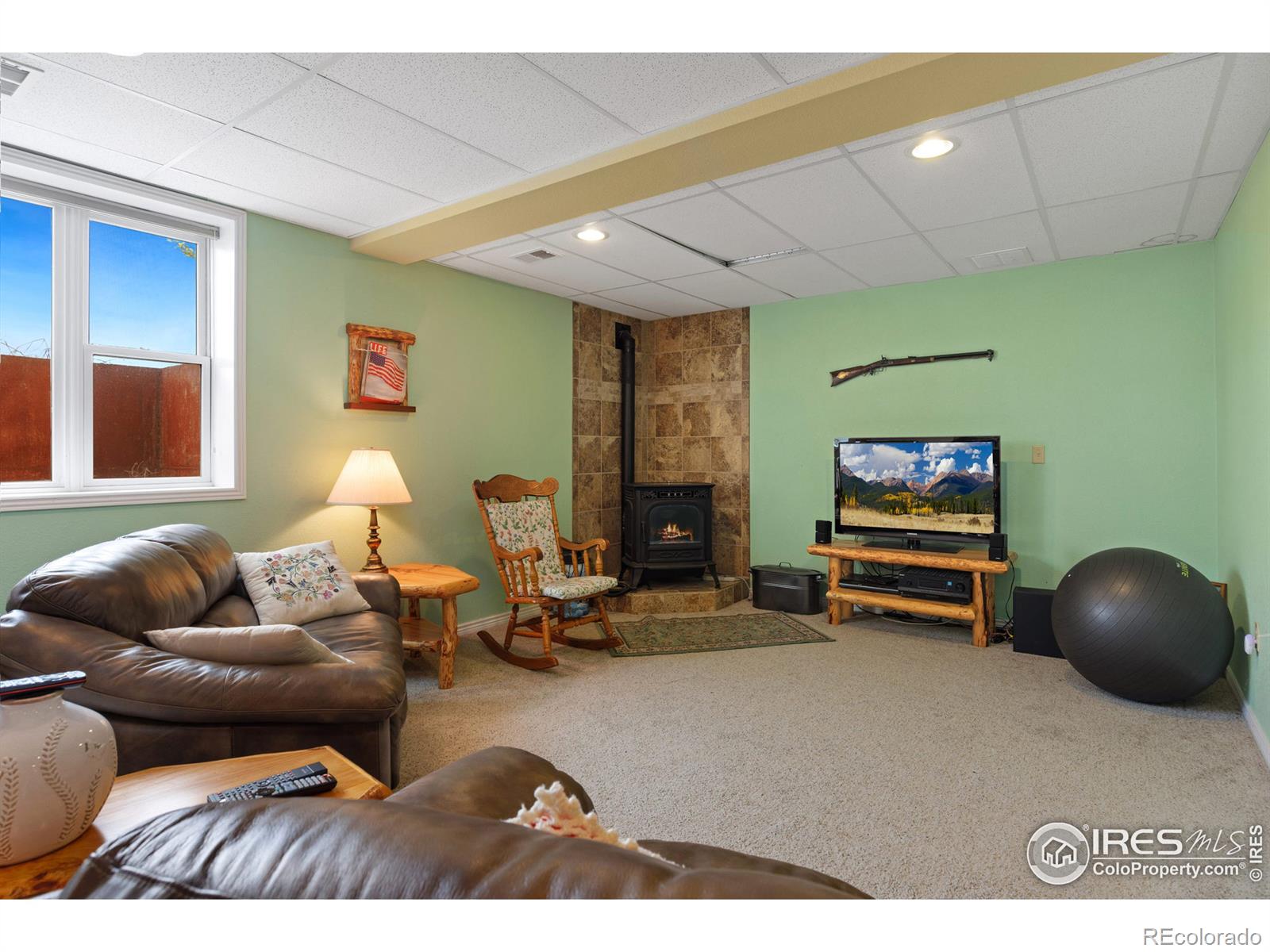 MLS Image #24 for 4586  levi court,loveland, Colorado