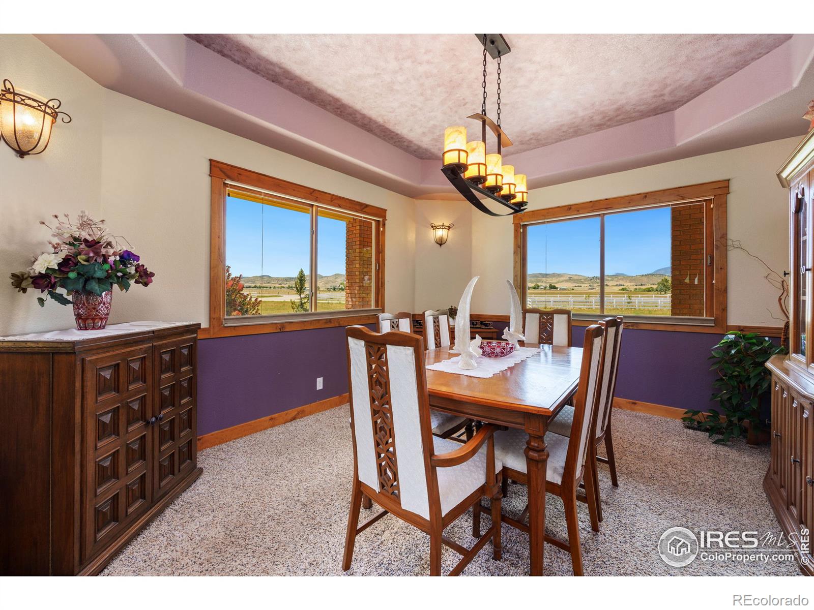 MLS Image #4 for 4586  levi court,loveland, Colorado