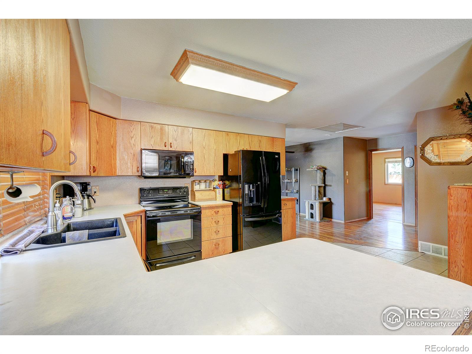 MLS Image #8 for 4205  sweetgrass drive,loveland, Colorado