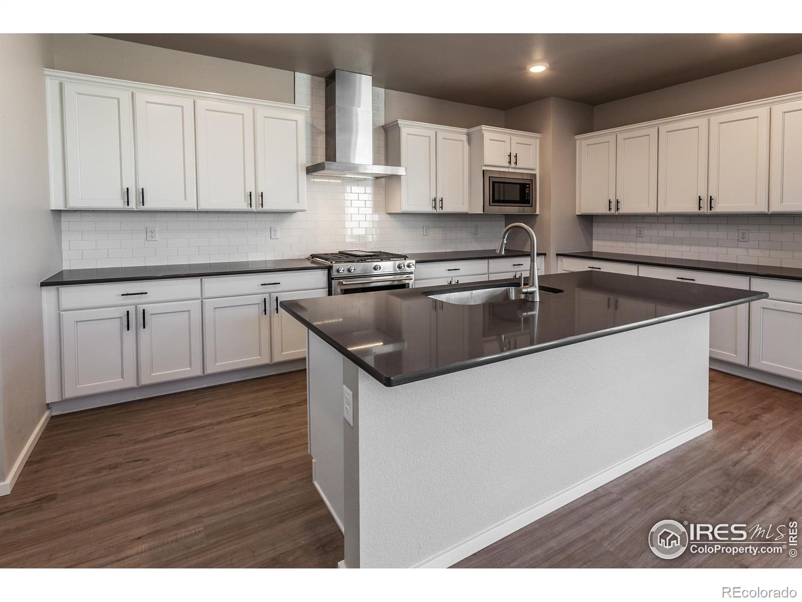 MLS Image #11 for 2651  san cristobal court,timnath, Colorado