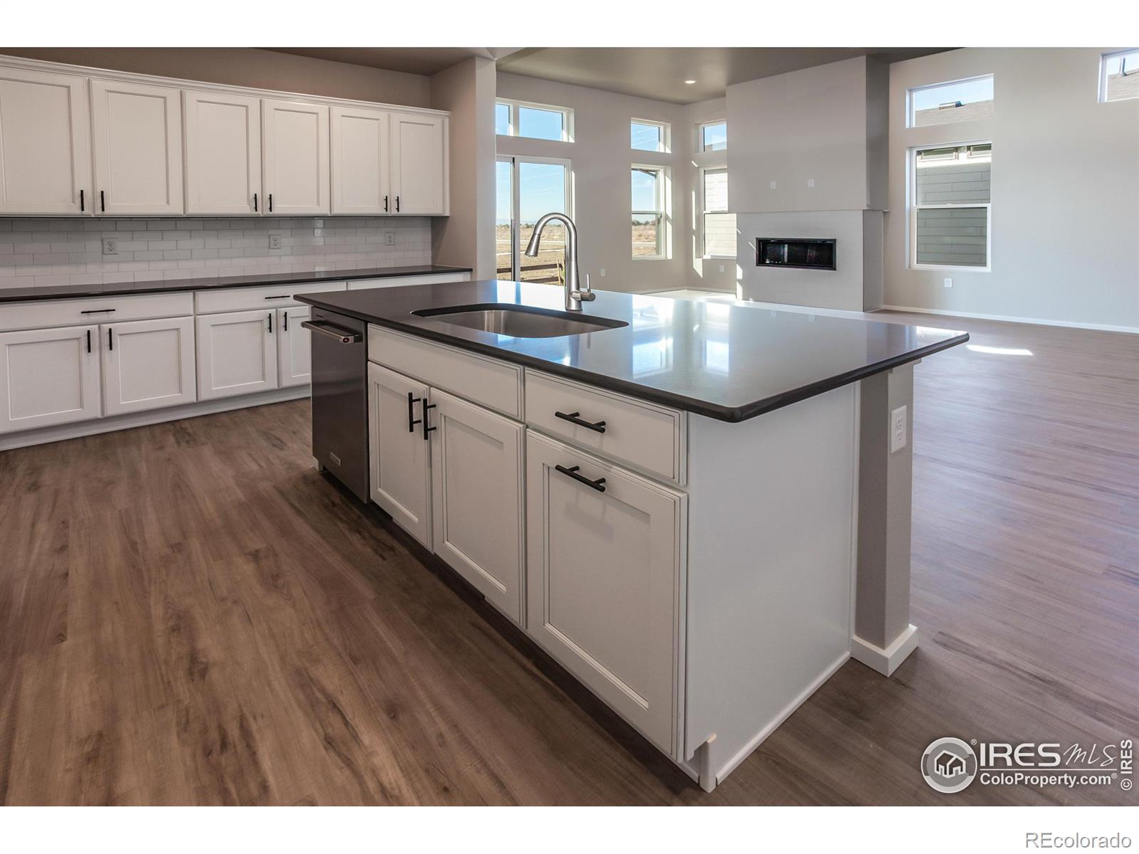 MLS Image #17 for 2651  san cristobal court,timnath, Colorado