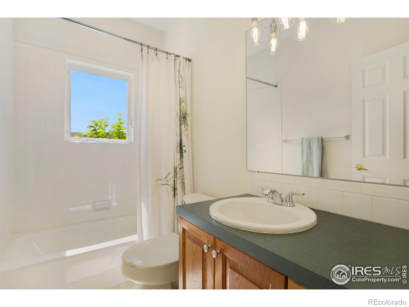 MLS Image #17 for 2506  mckeag court,fort collins, Colorado