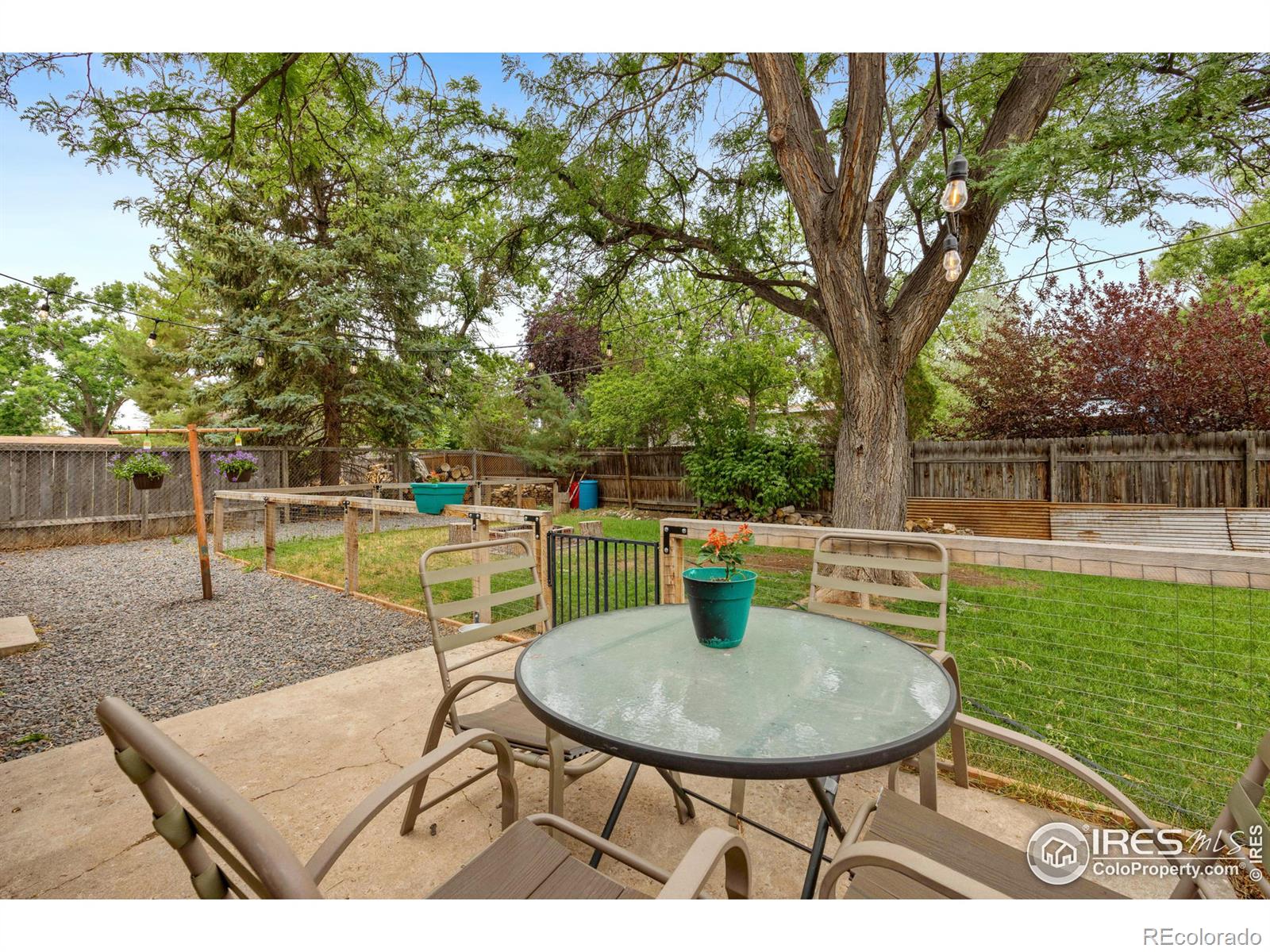 MLS Image #14 for 813  rocky road,fort collins, Colorado