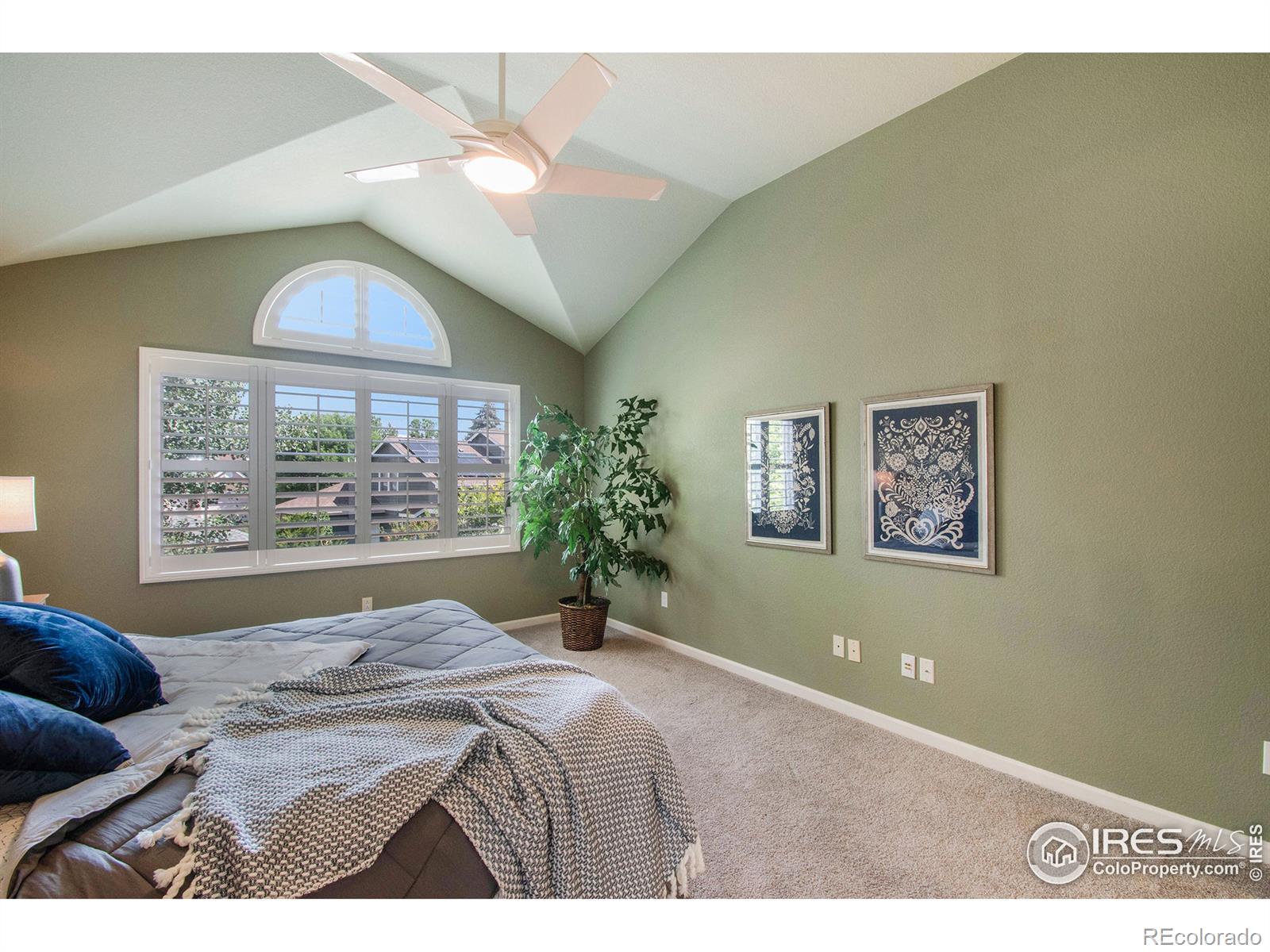 MLS Image #16 for 624  sandreed court,fort collins, Colorado