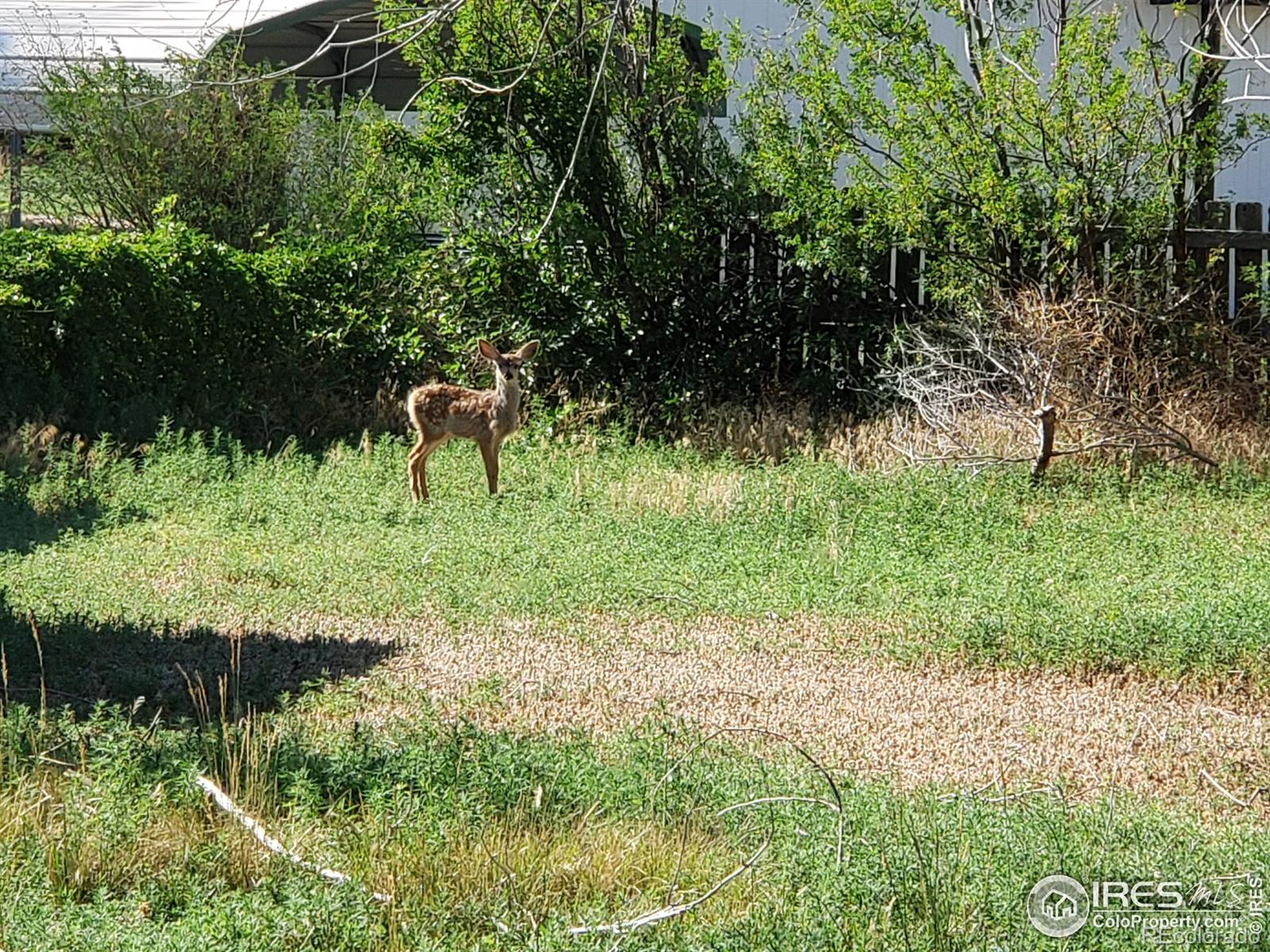 MLS Image #24 for 6739  3rd street,cope, Colorado